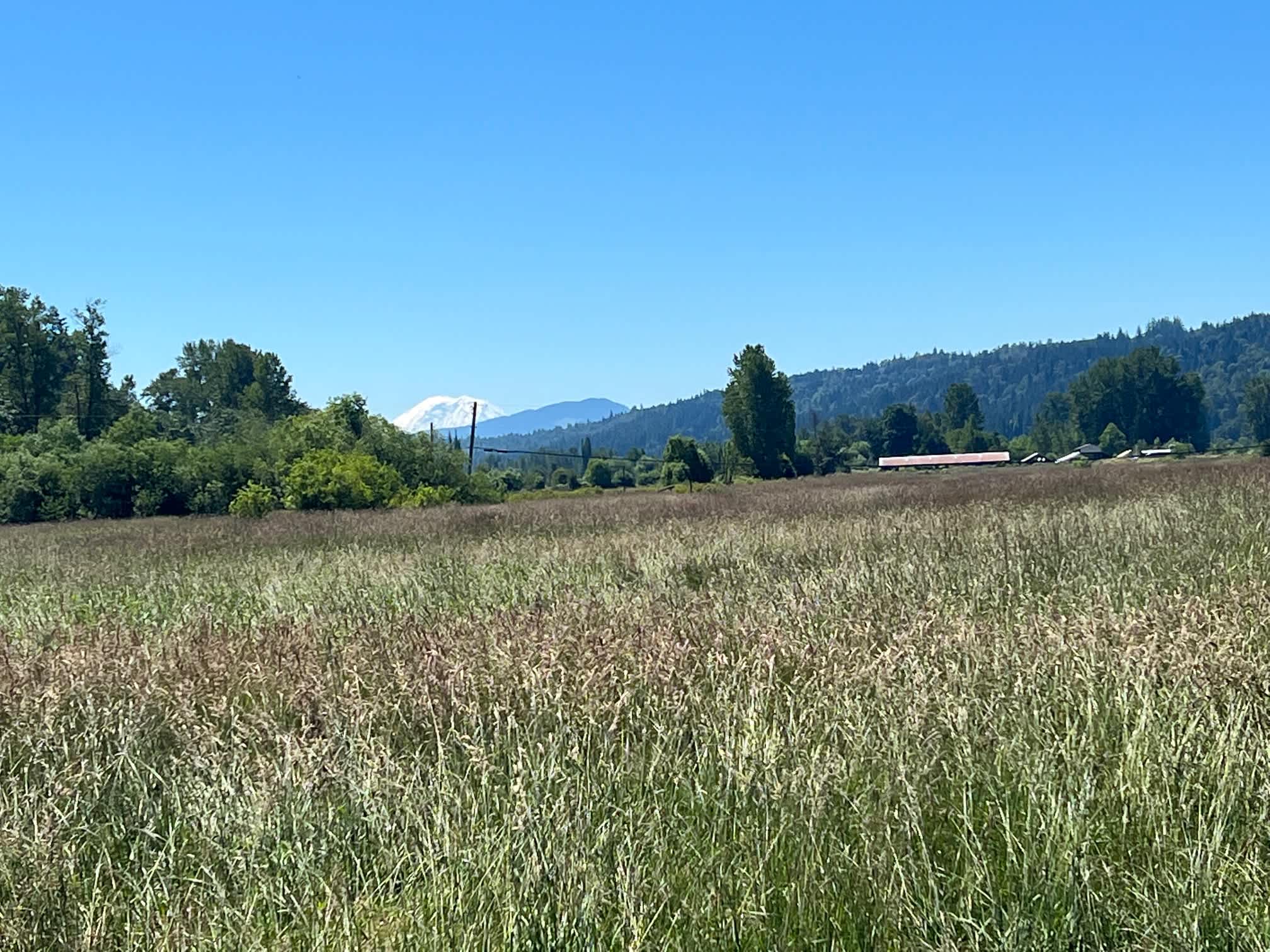 View to the South. On a clear day you can see Mount Rainier