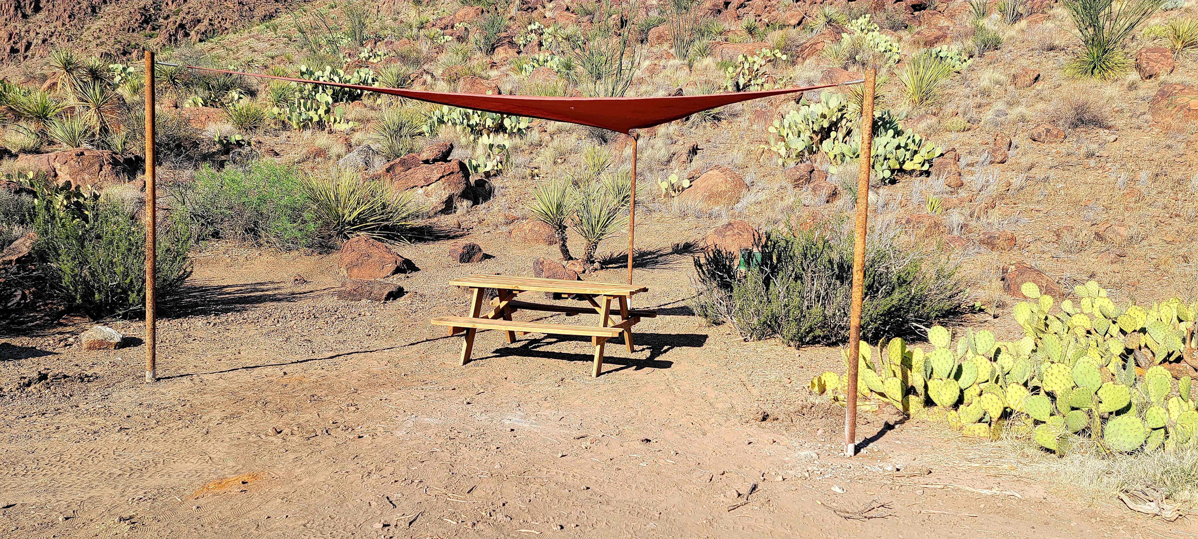 Picture of the site
