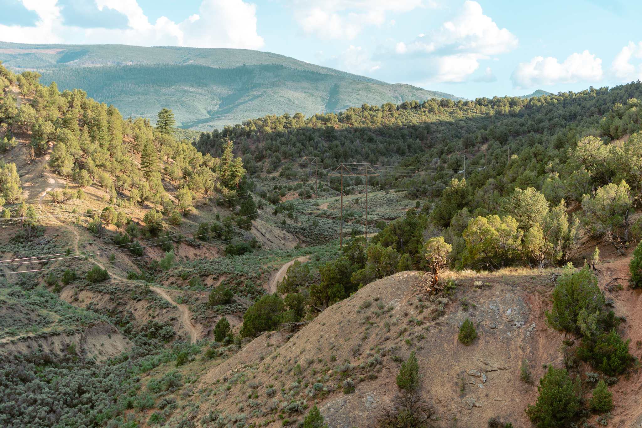 There are so many biking and hiking paths here!