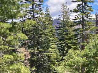 We have opened up the view a bit since I took this photo
Grouse Ridge is in the backgorund.
This is from Walk-in Site W .  Less than a half-mile walk.