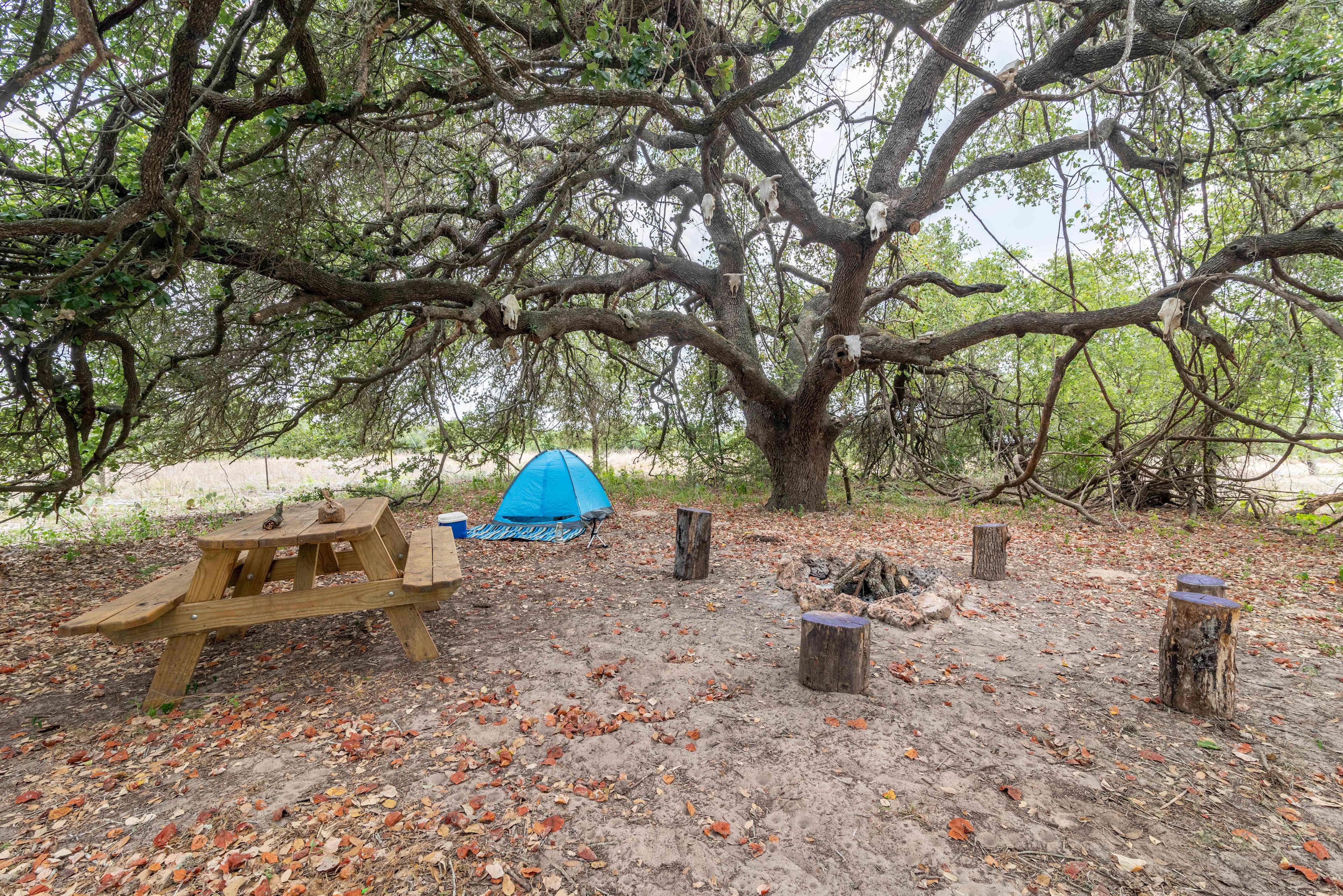 Camping area