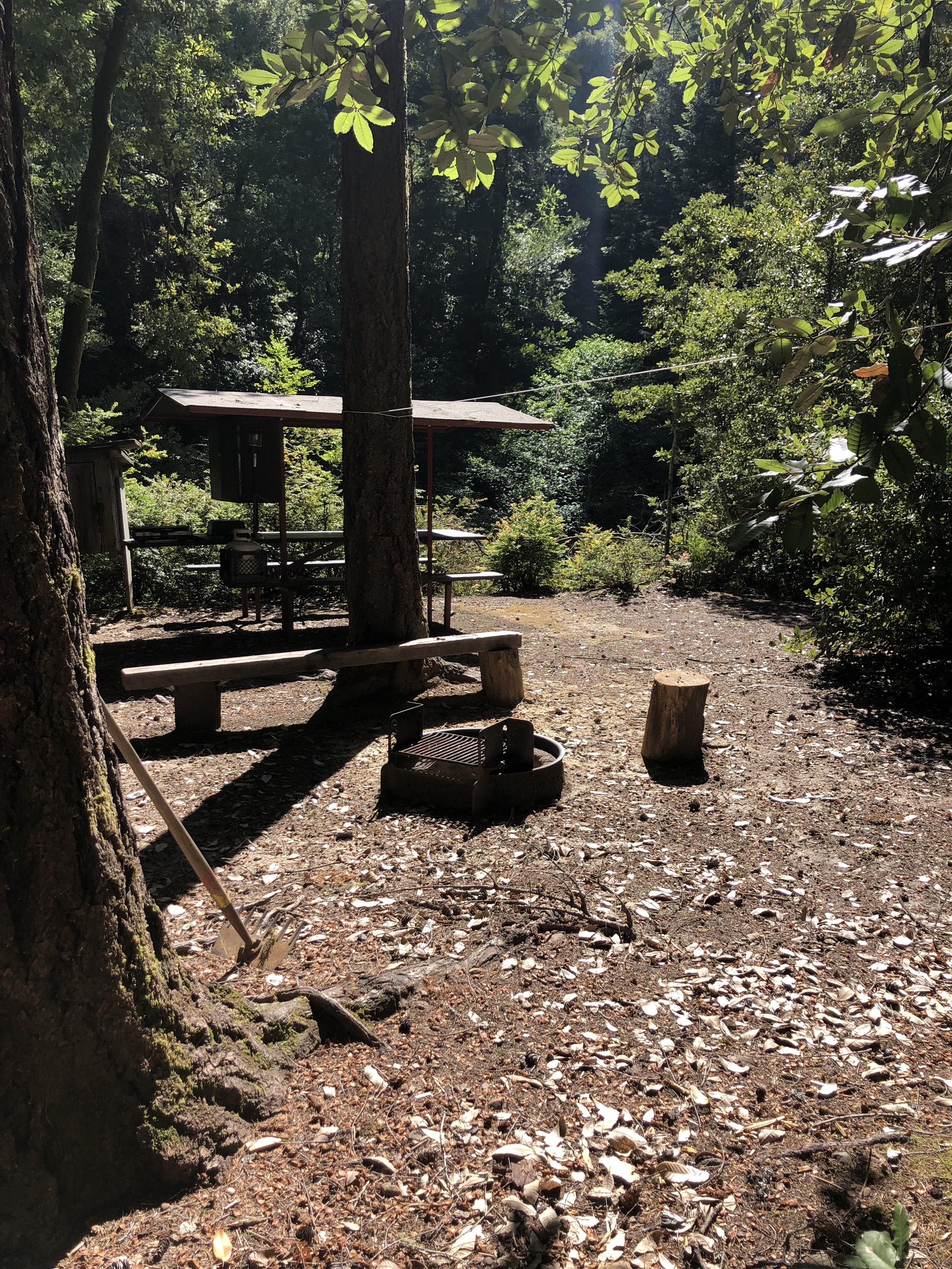 Camp Noyo