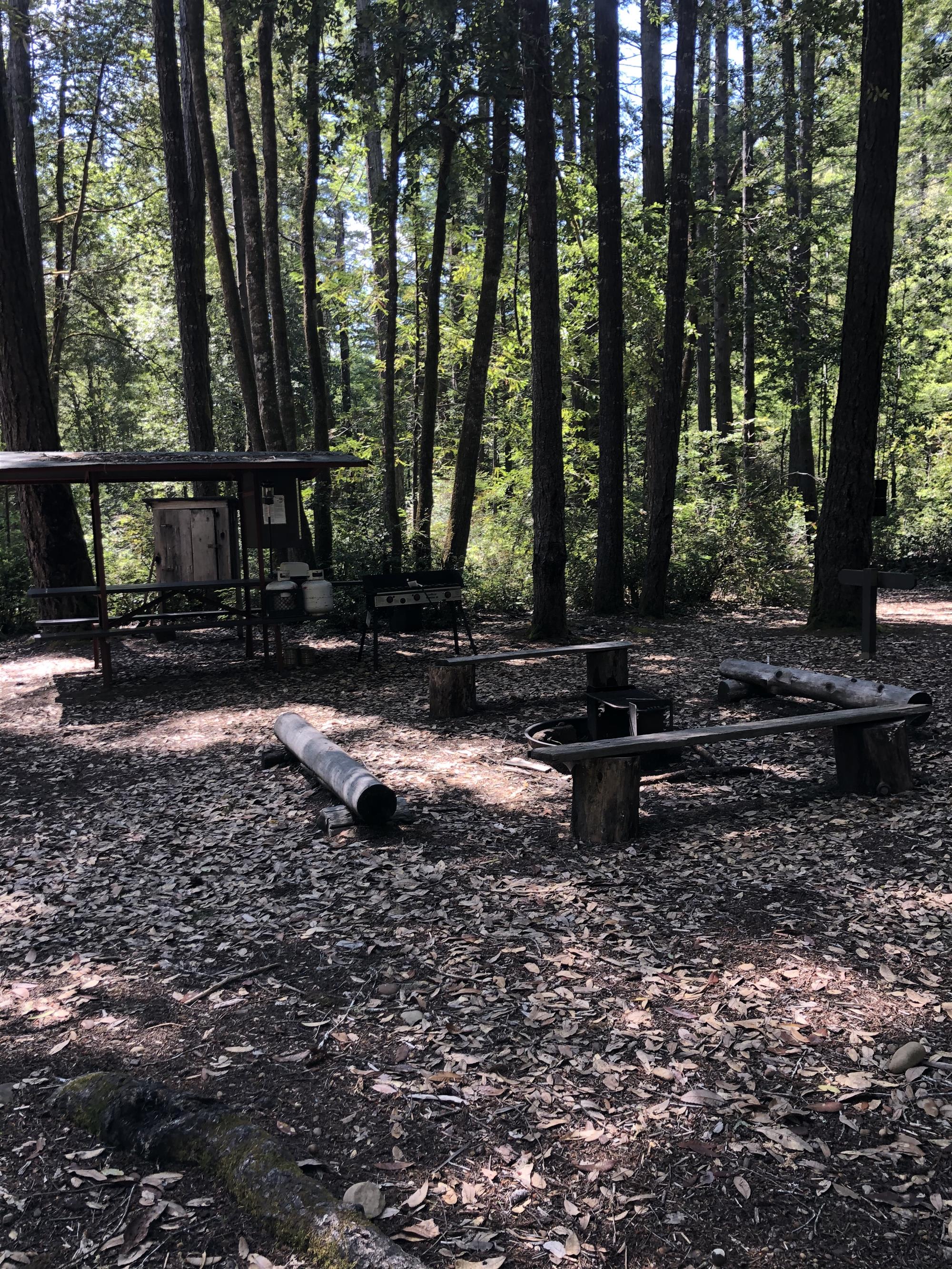 Camp Noyo