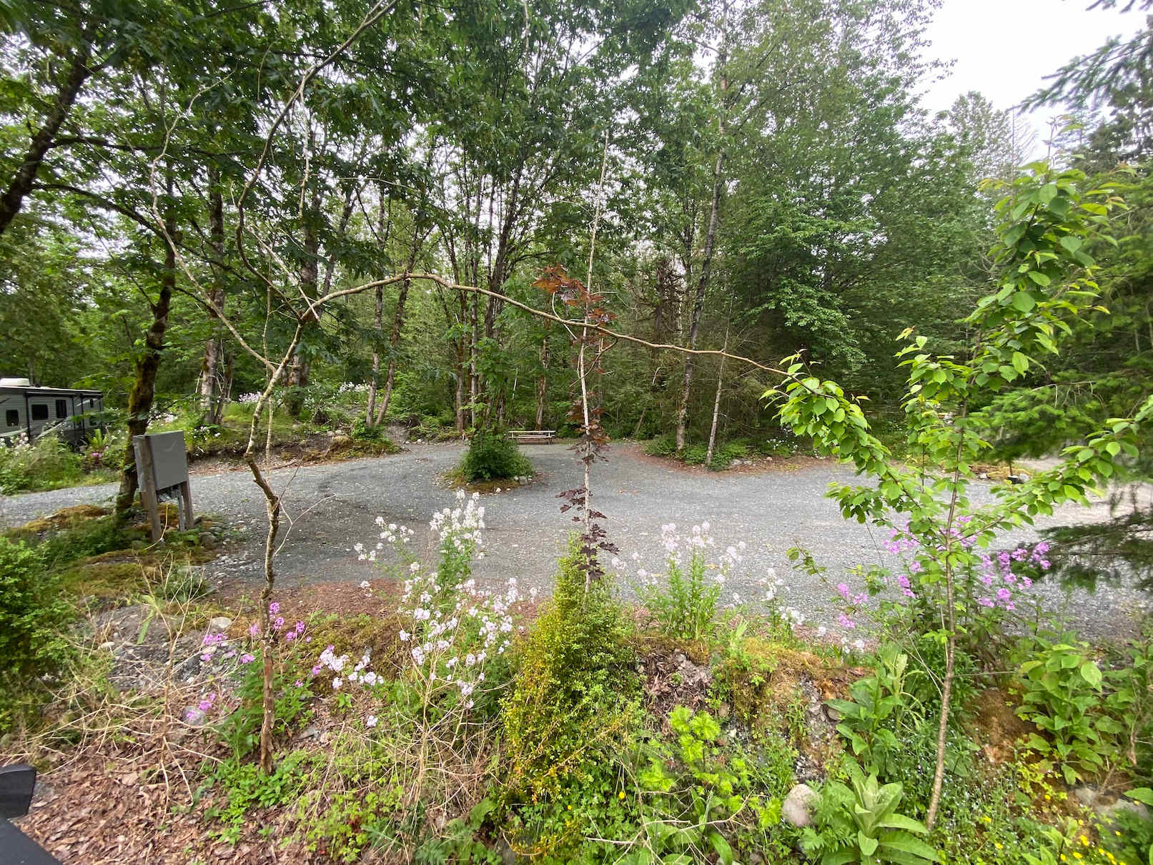The site