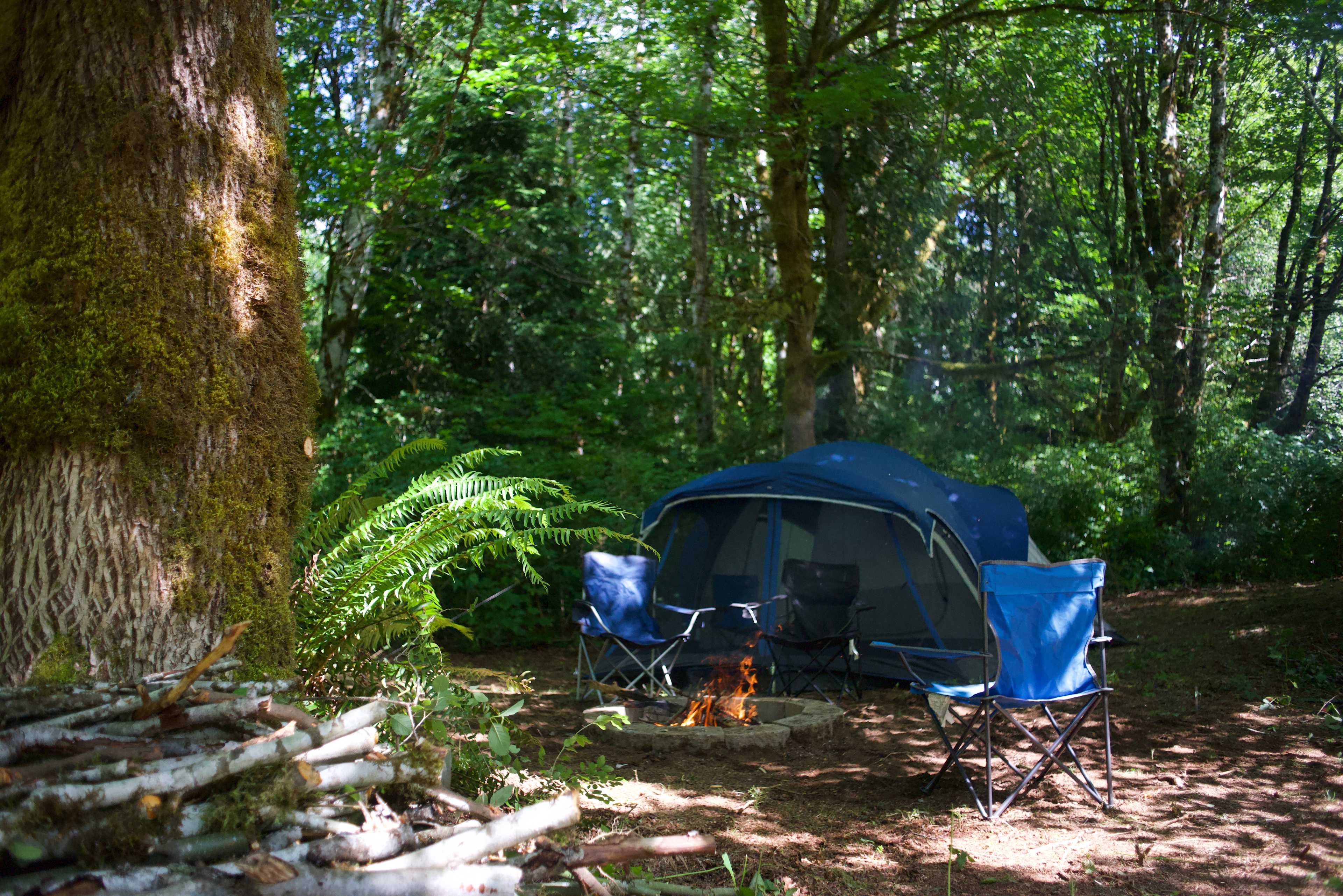 Camp Keyser Forest Camp