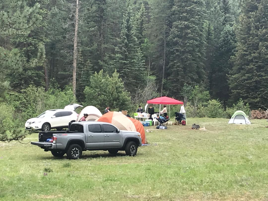 #20 Little Meadow - flat area for tents and campers of all sizes along the creek.