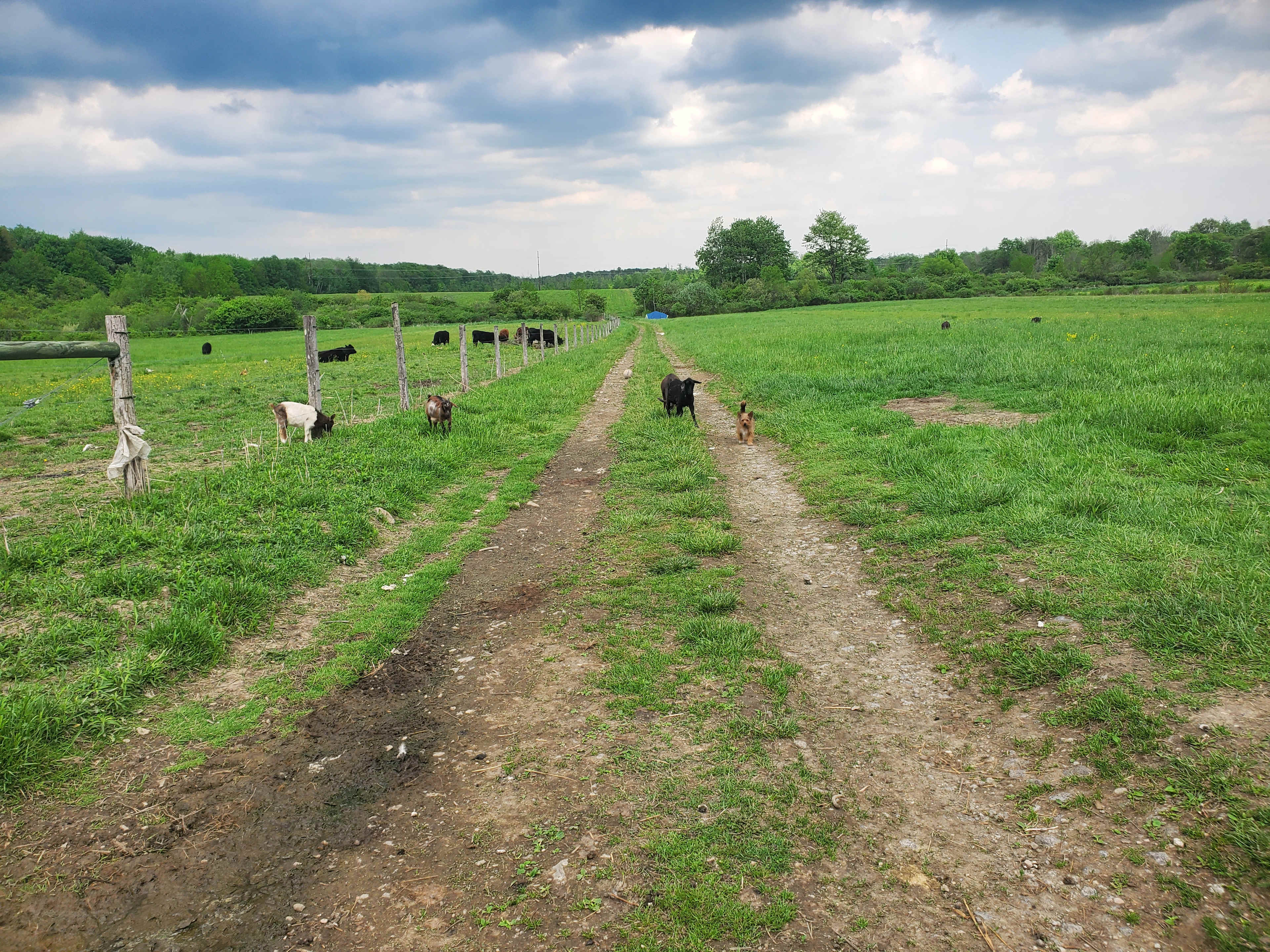 The Farm at Grand River