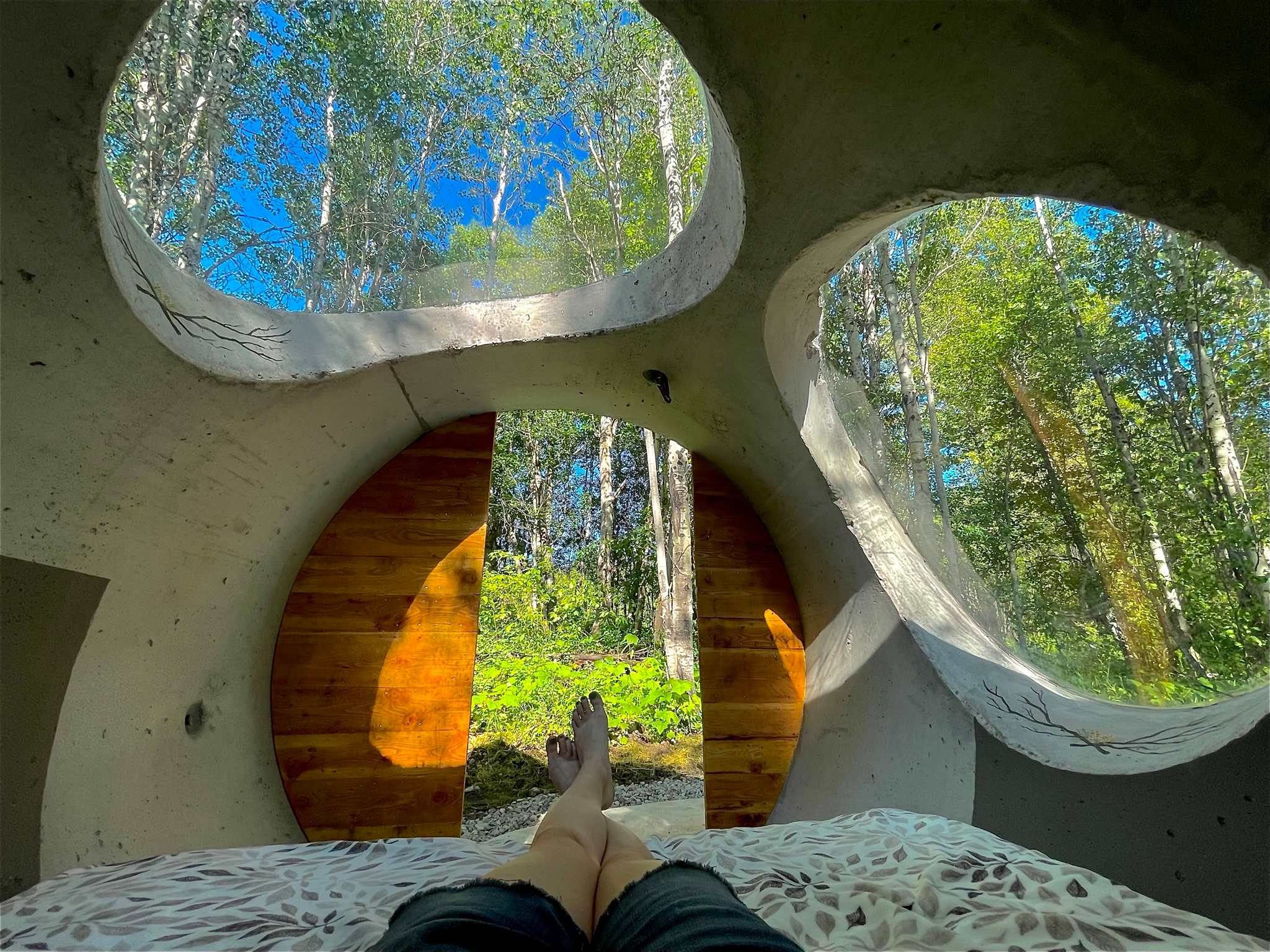 View from laying in bed at the Glacier Glamp Stargazer Tube Tent