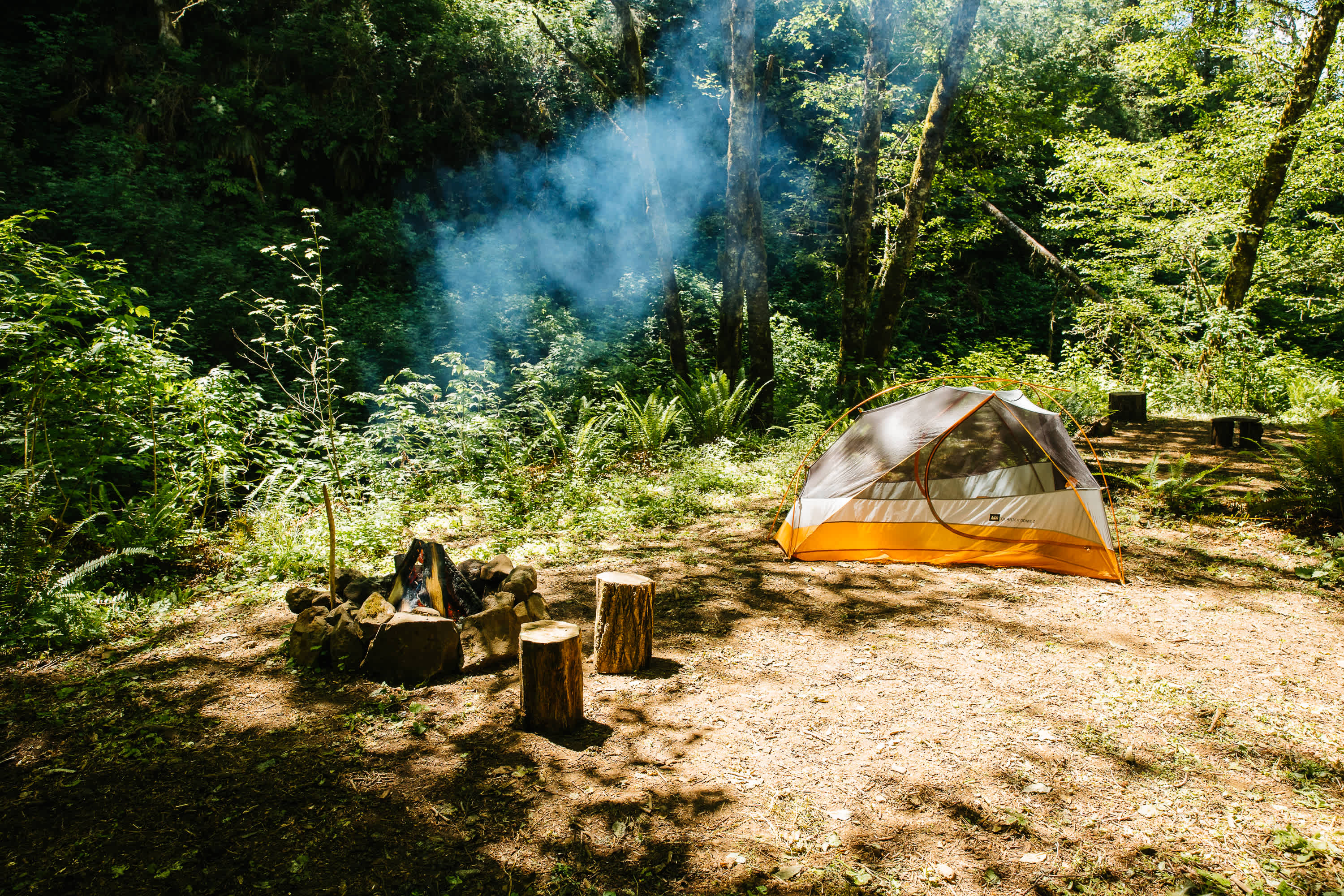 There are three campsites. Each site has plenty of space to set up a tent (or two) and its own firepit and stumps for sitting. This is Site 1 "Elderberry", closest to the falls.
