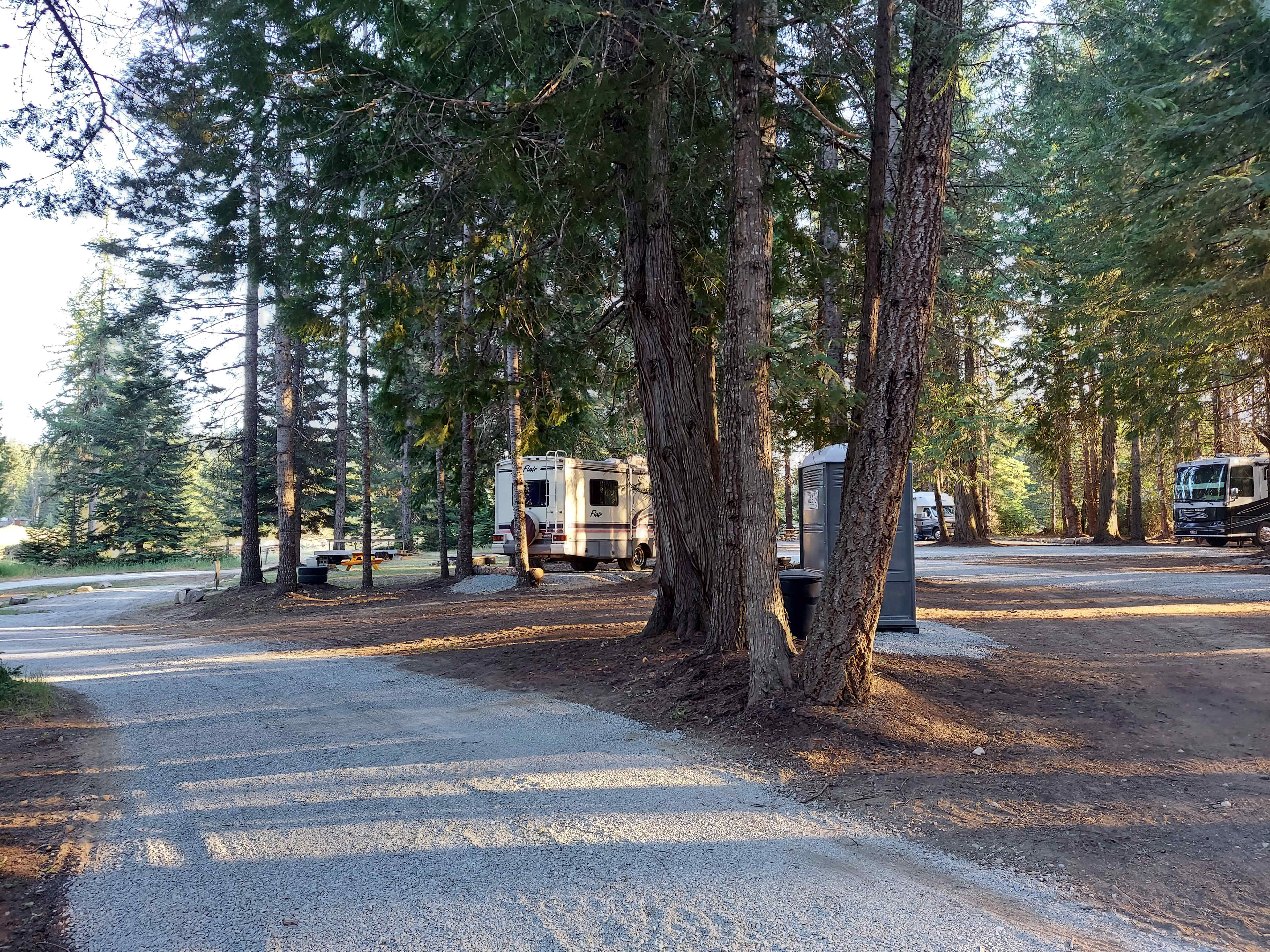 Under the Cedars