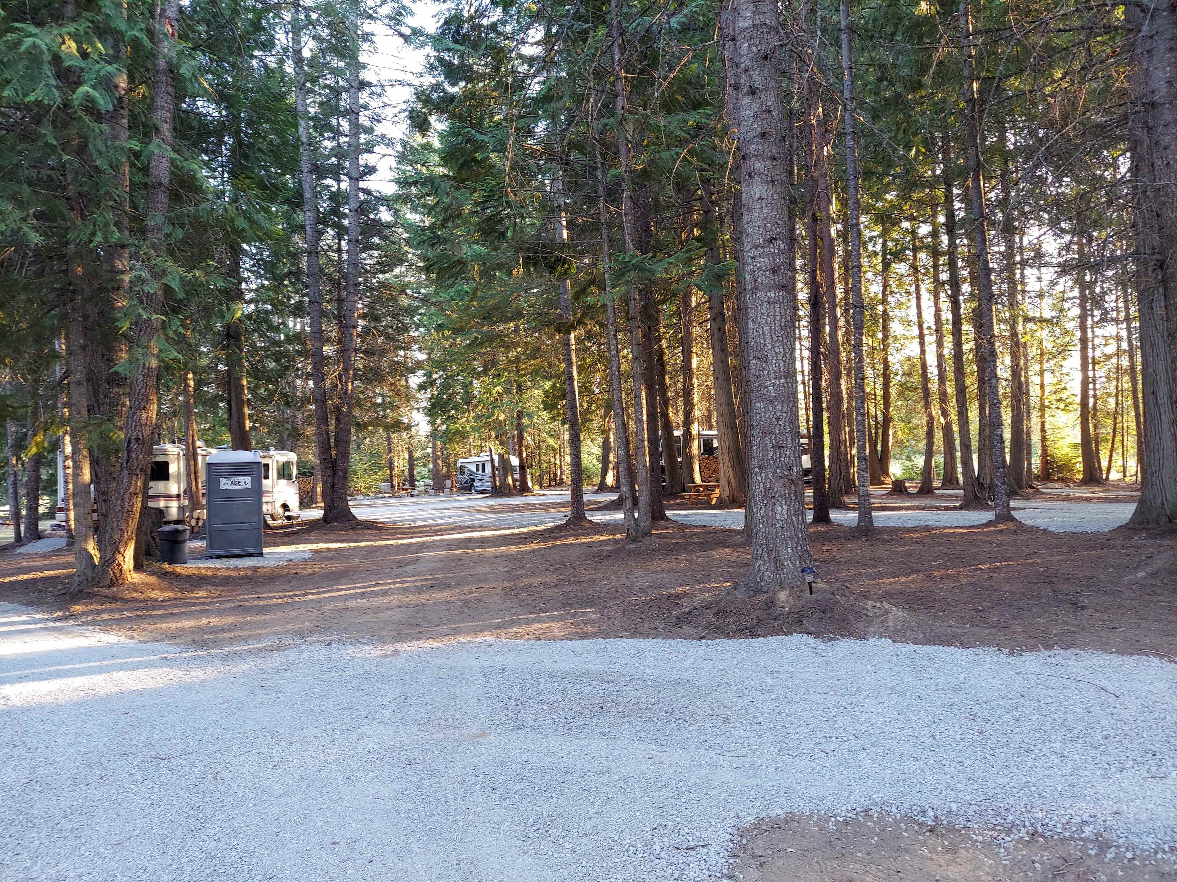 Under the Cedars