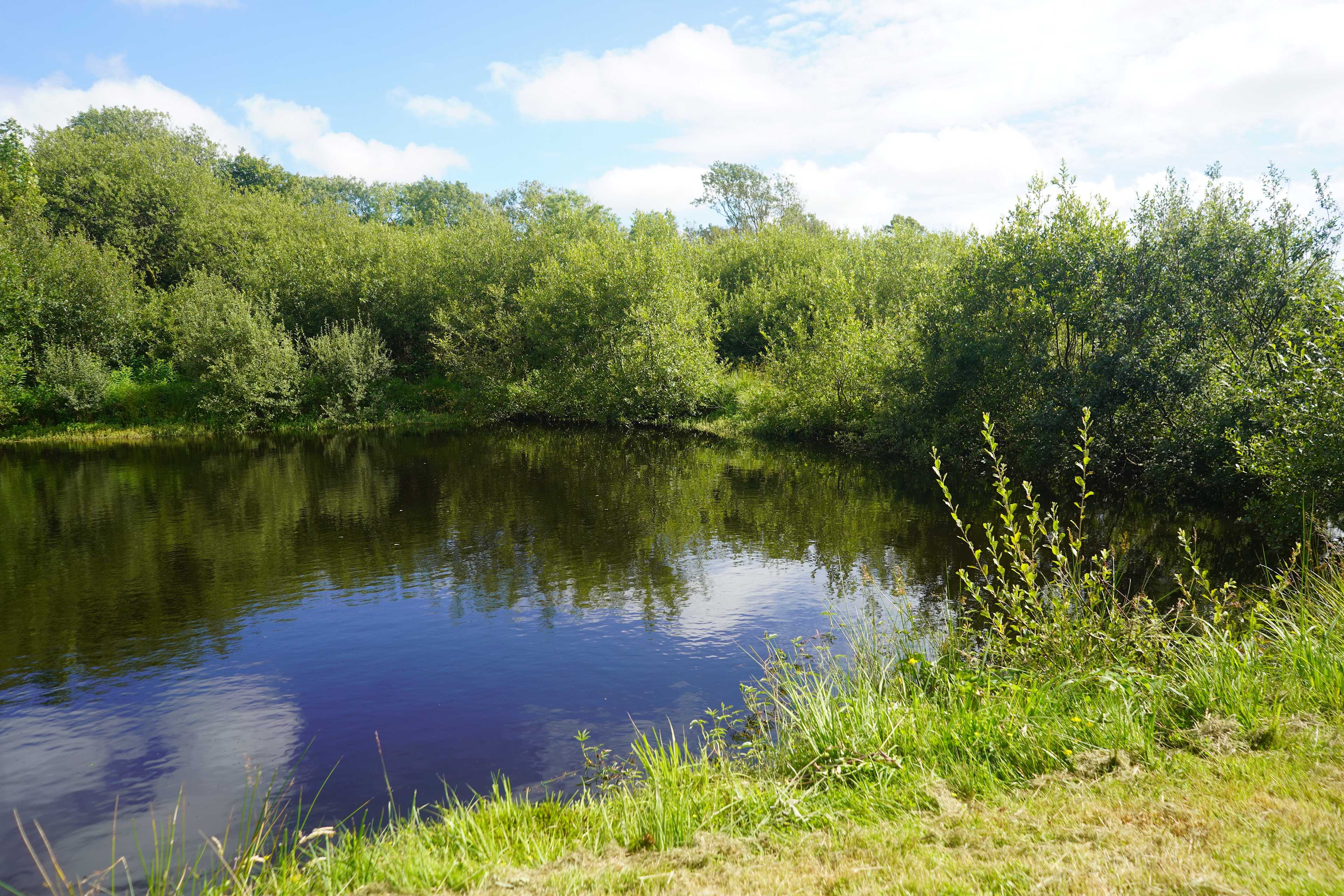 Swimming lake