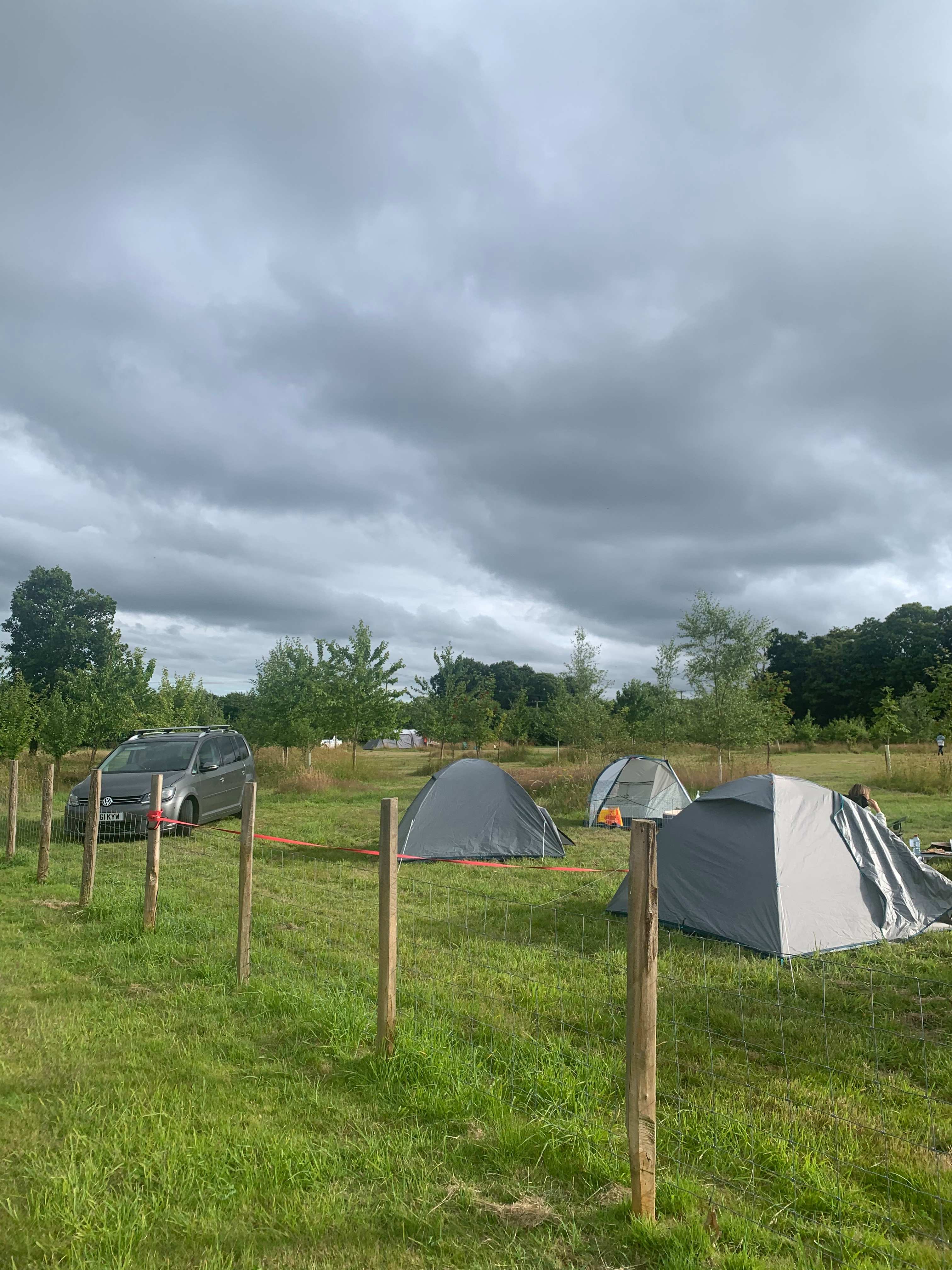 Small Trees Campsite