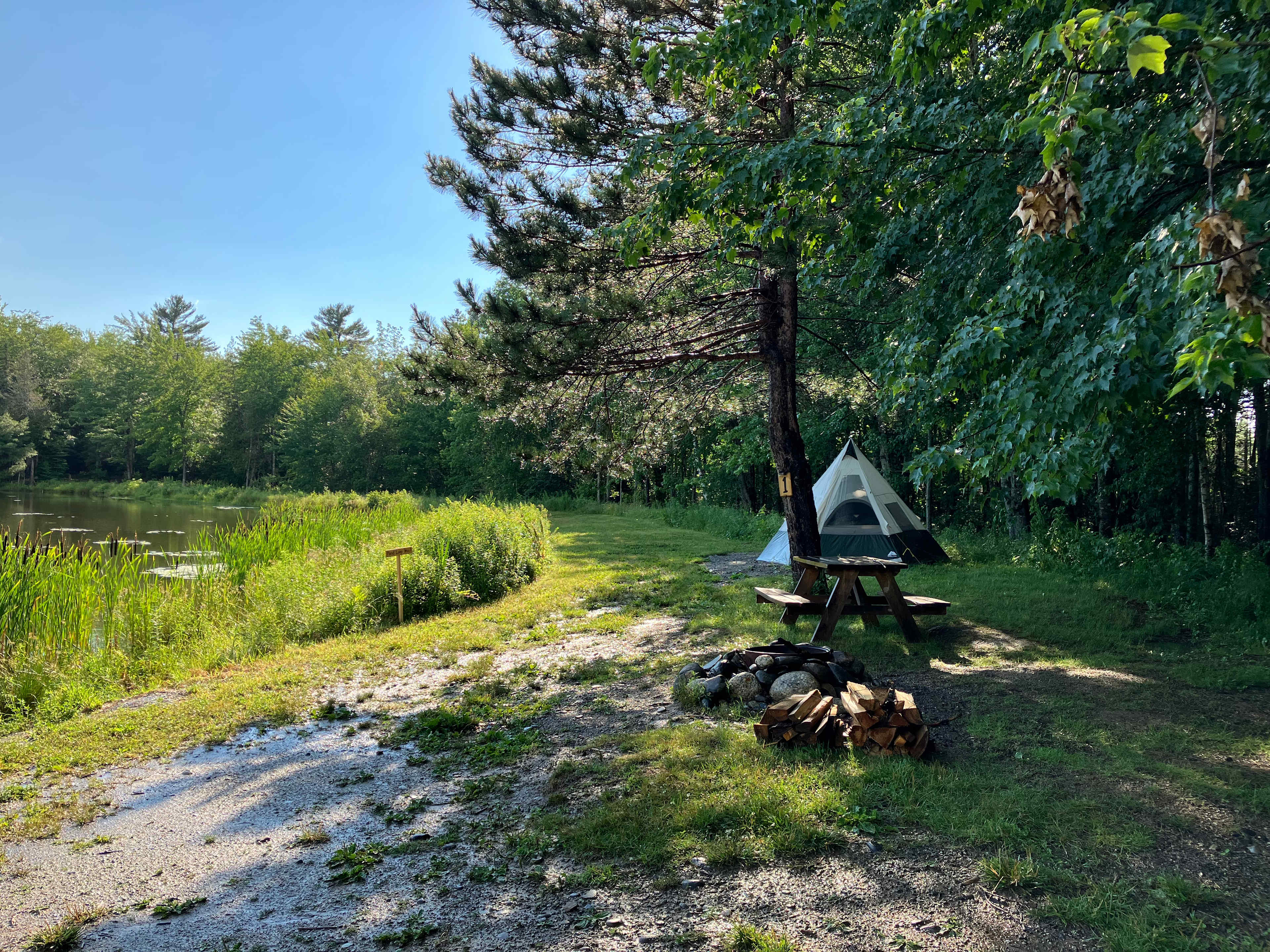 True Serendipity Homestead