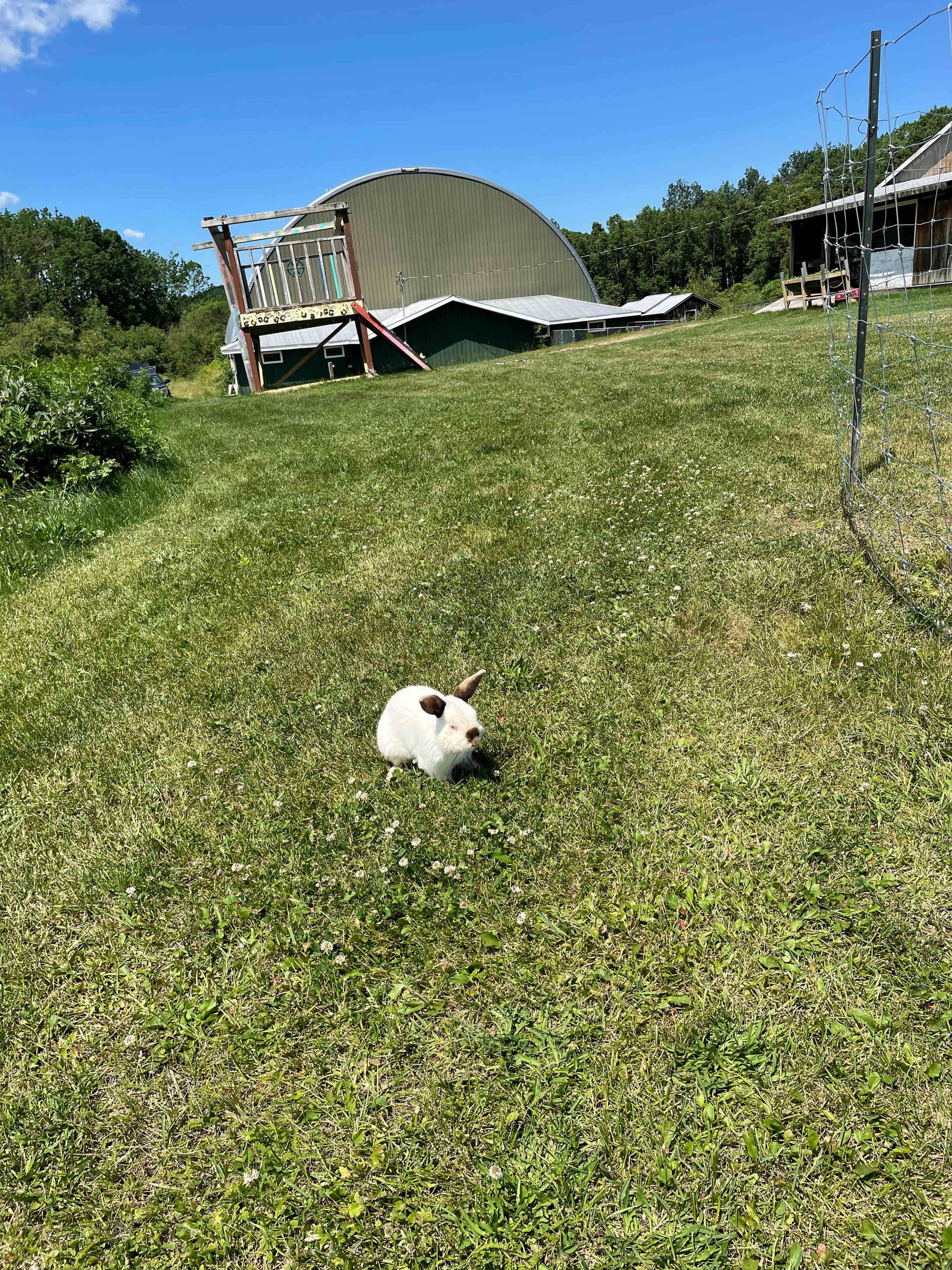 Stone Oaks Farm