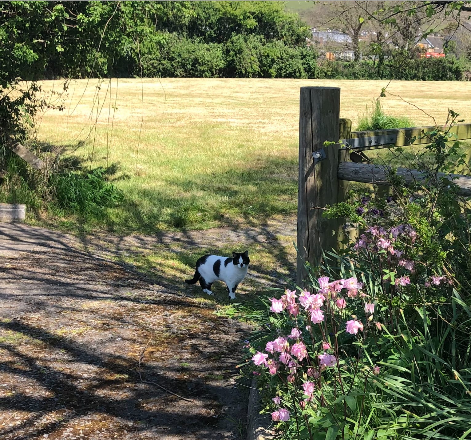 Secret Spot Camping Saunton