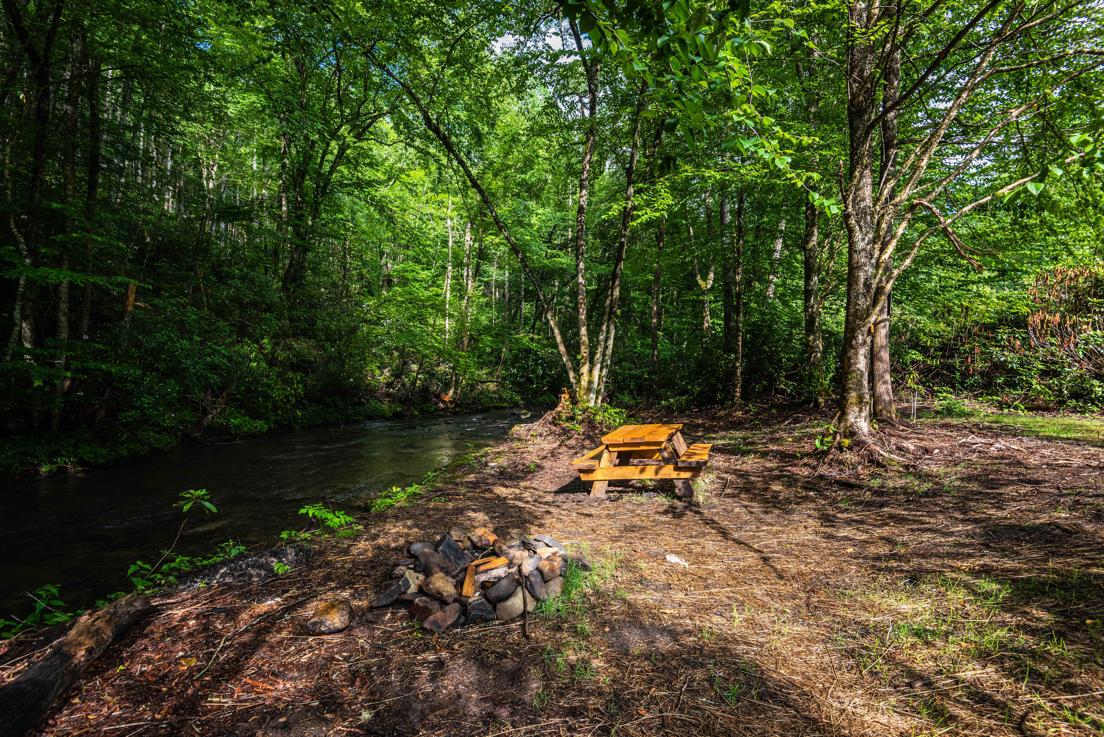 site 5 along the creek