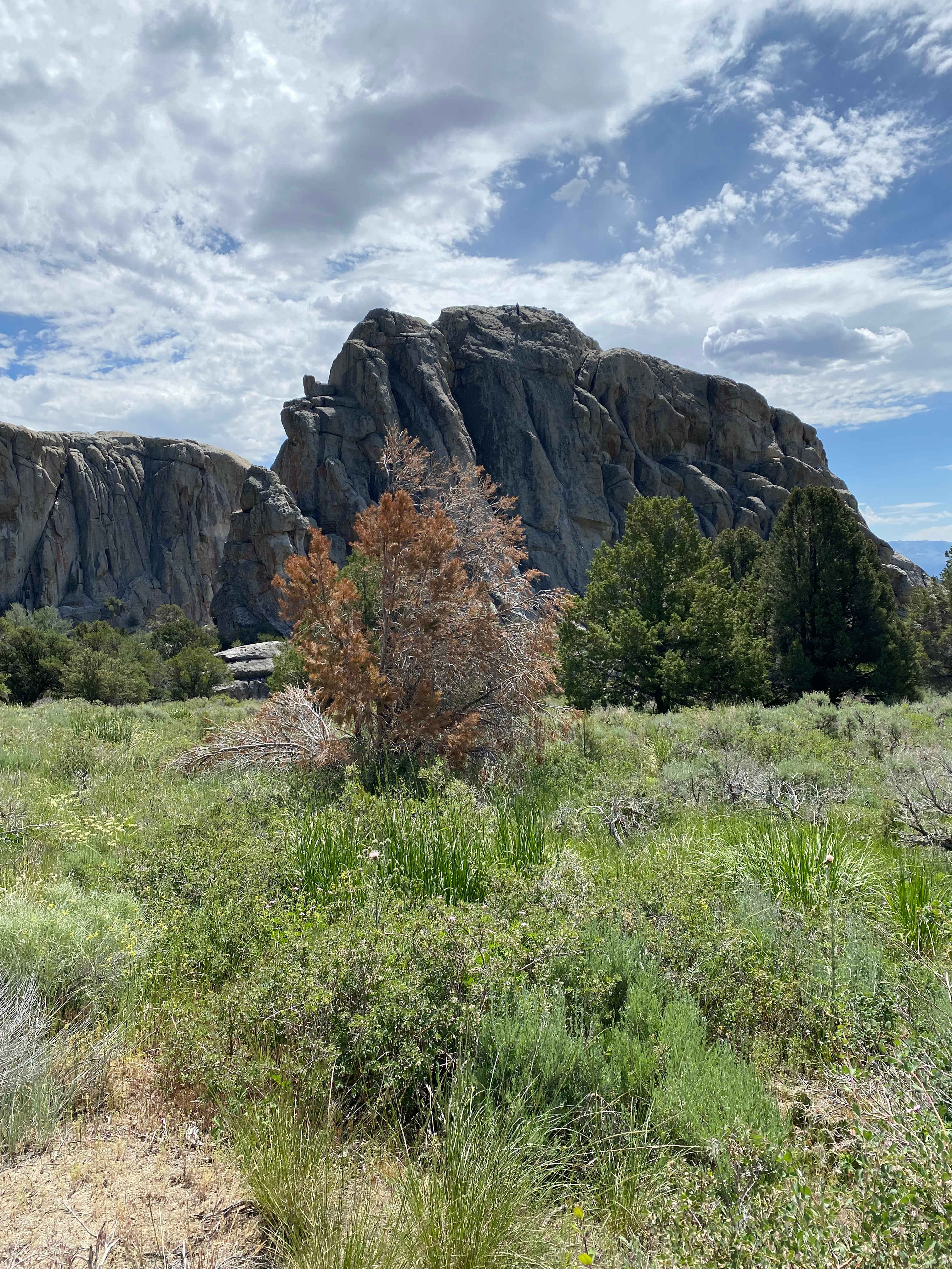 City of rocks
