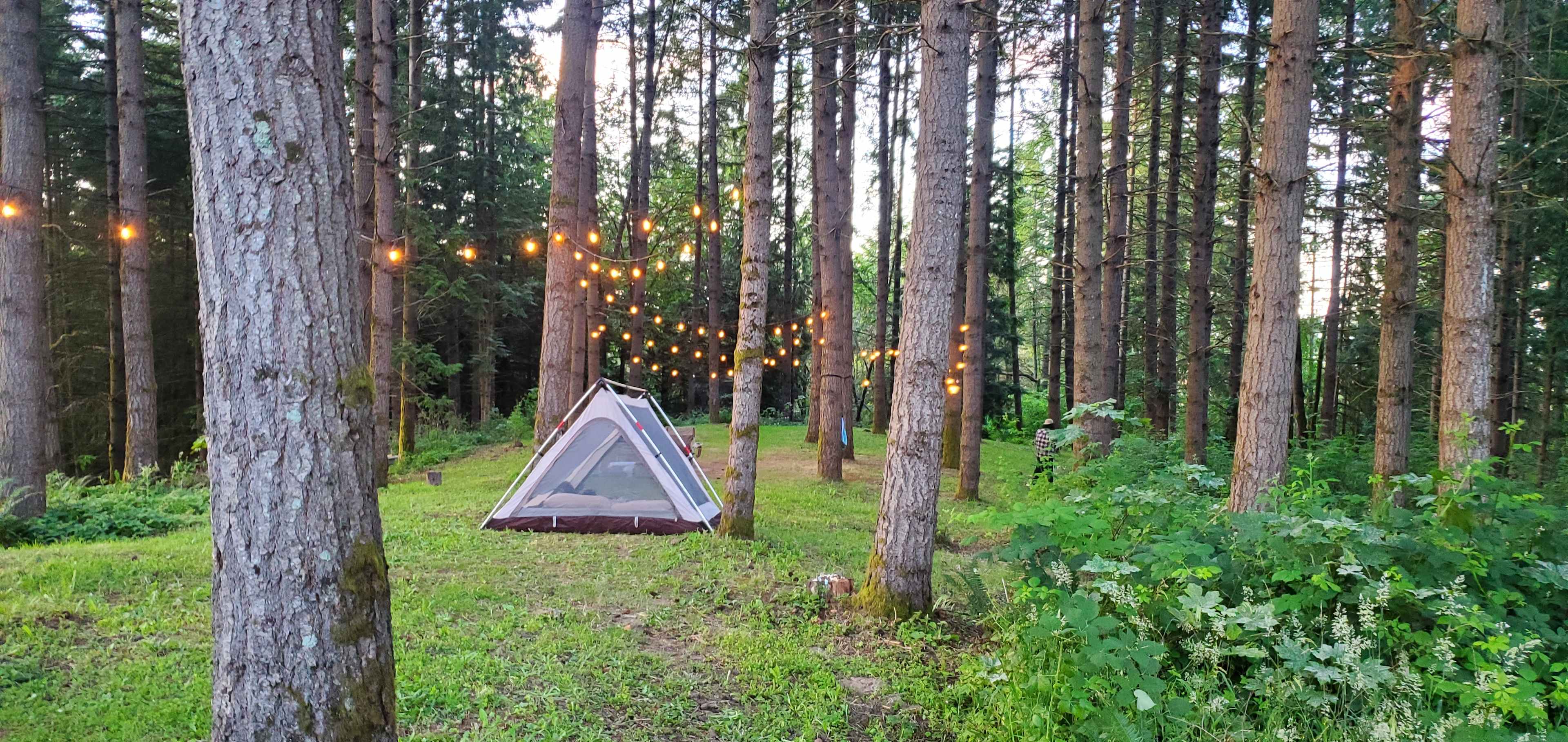 Akitaaru Forest Camp