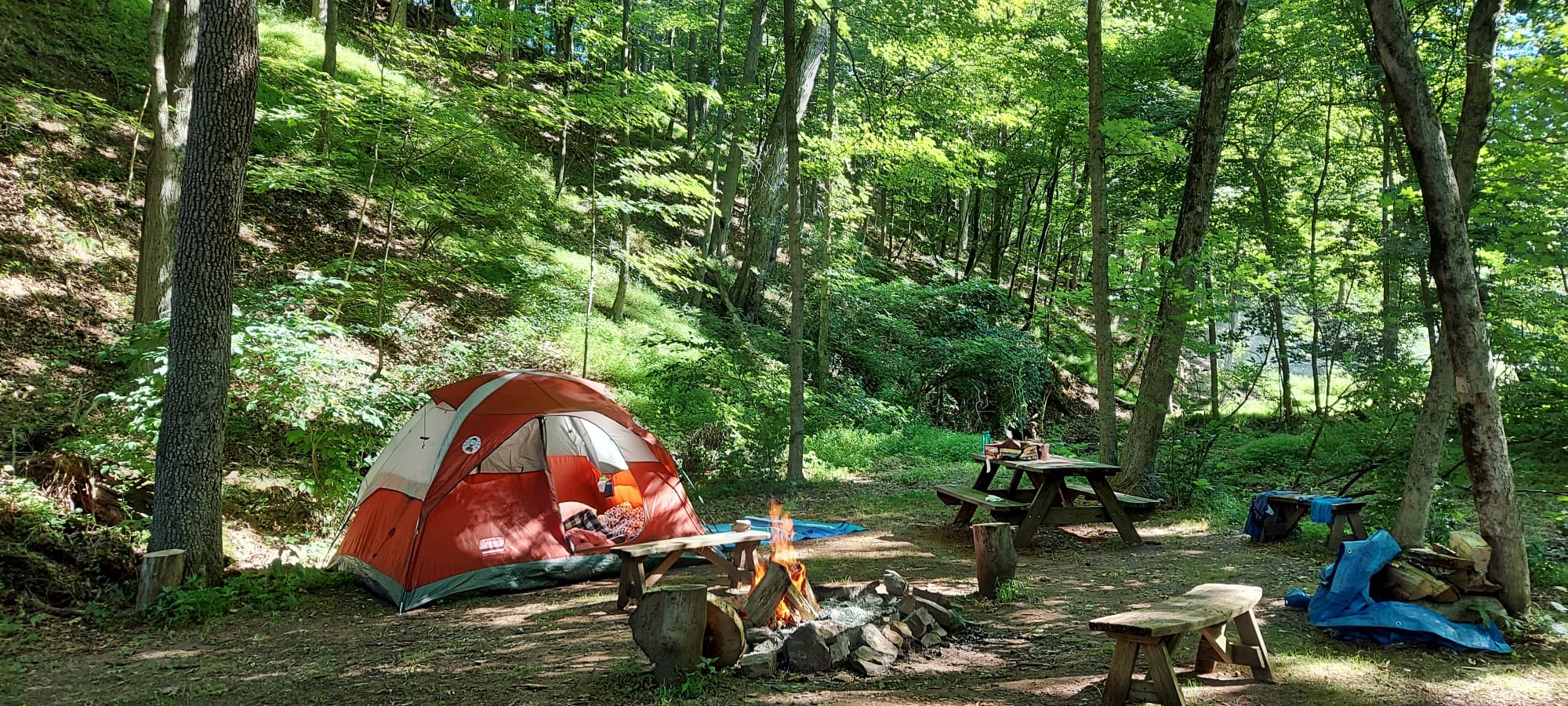 Secluded Creek Side Camping