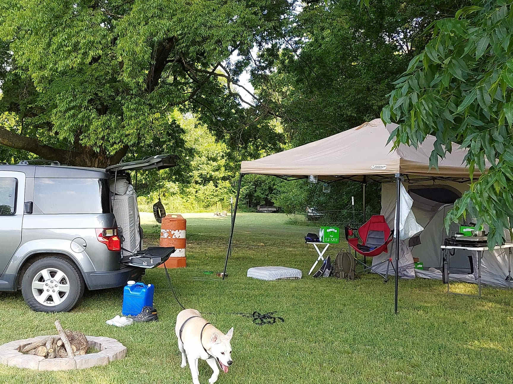 Molly, my canine companion and our campsite, We sleep in my car and use the pop up and small attached tent to store our stuff while sight seeing.