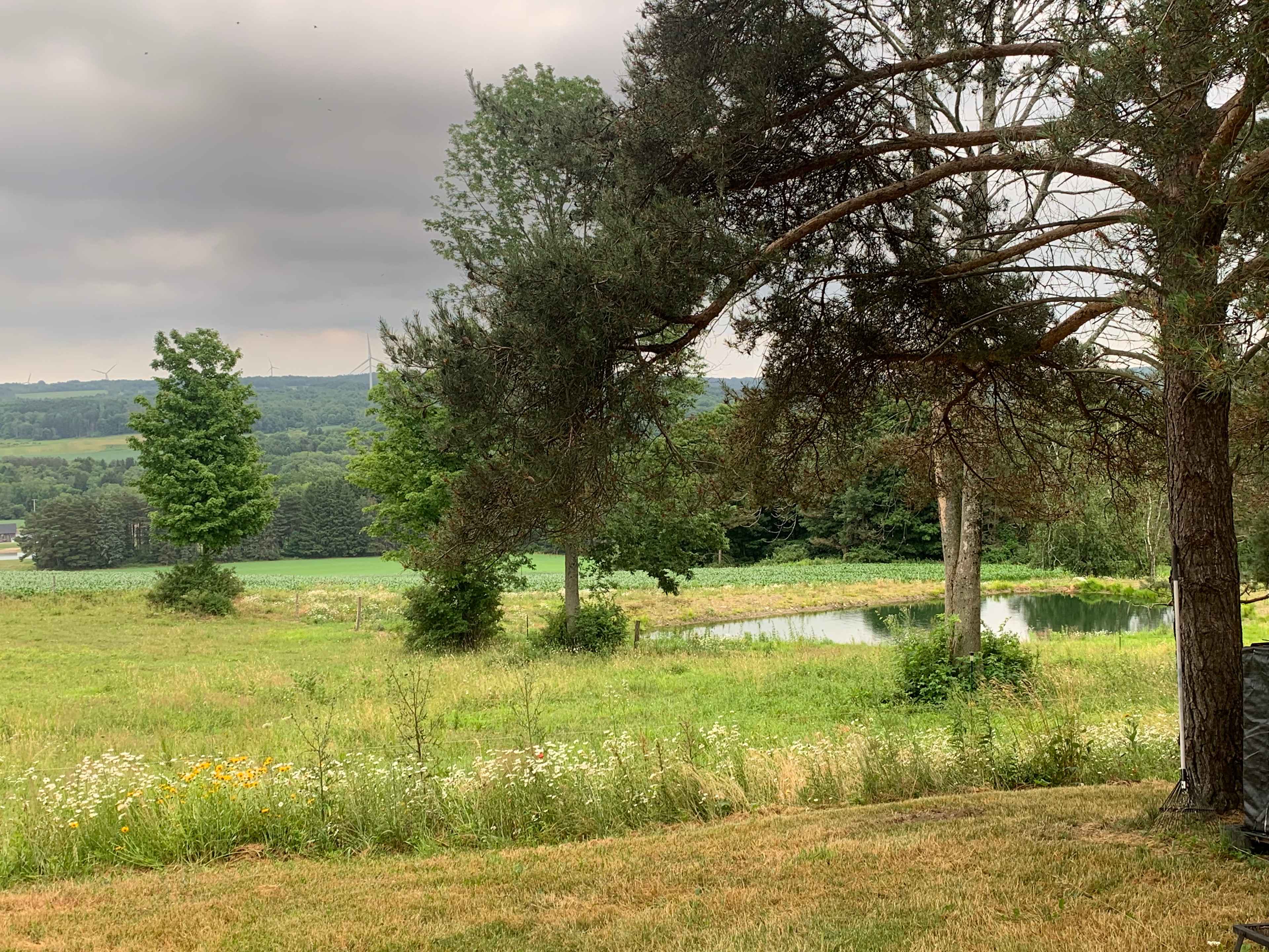 A Hilltop View