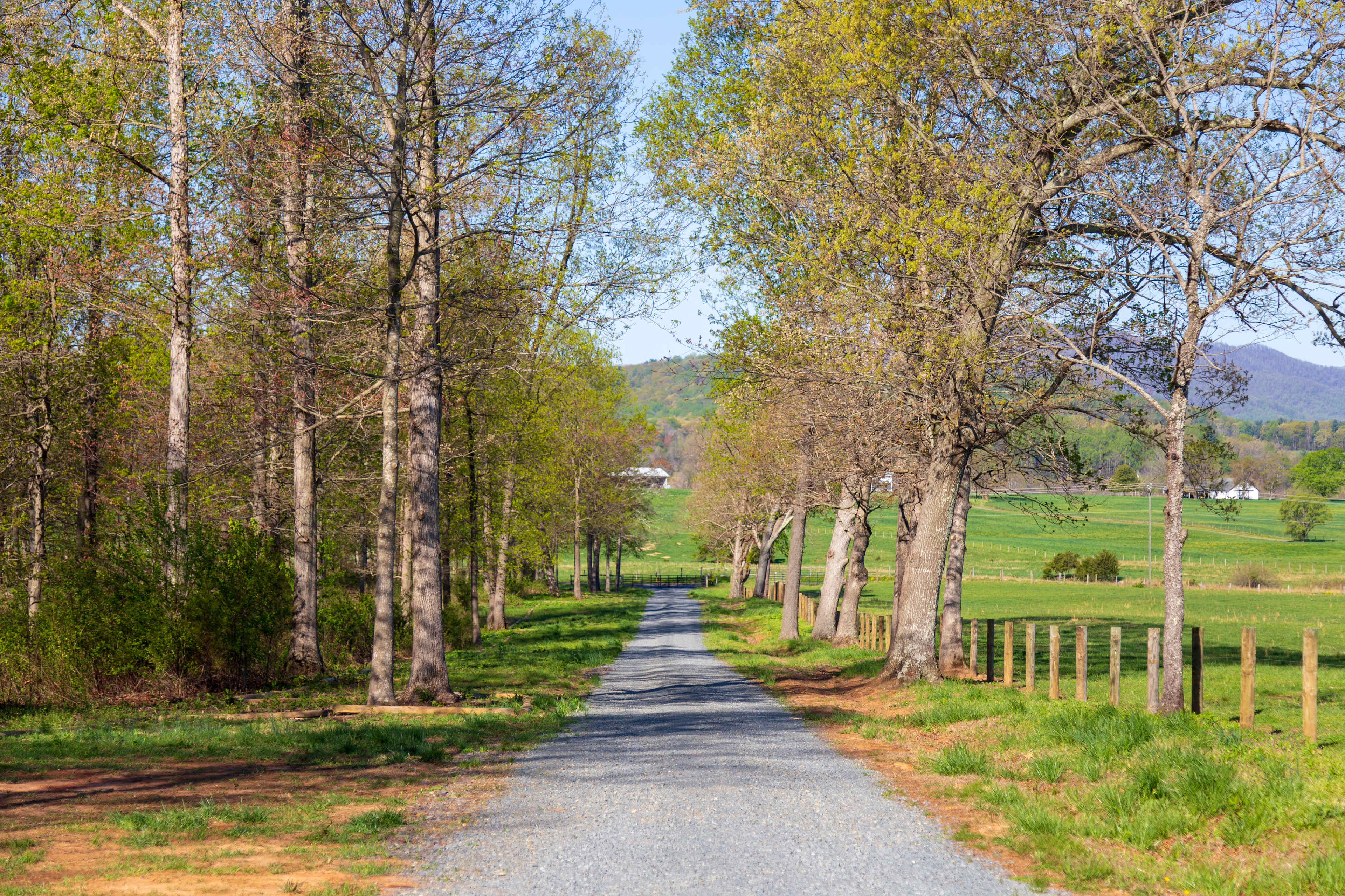 Revalation Vineyards