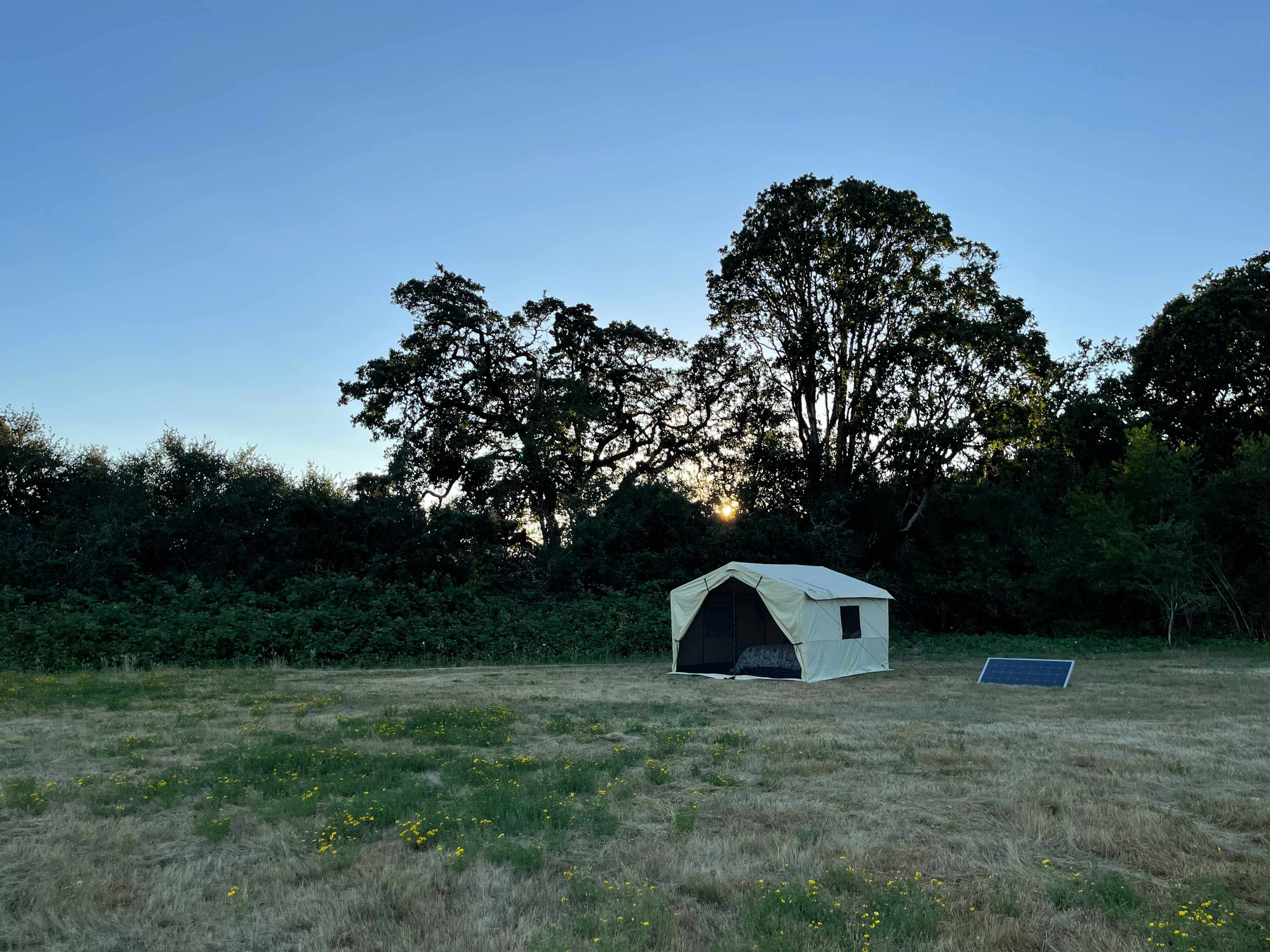 Picture of the site