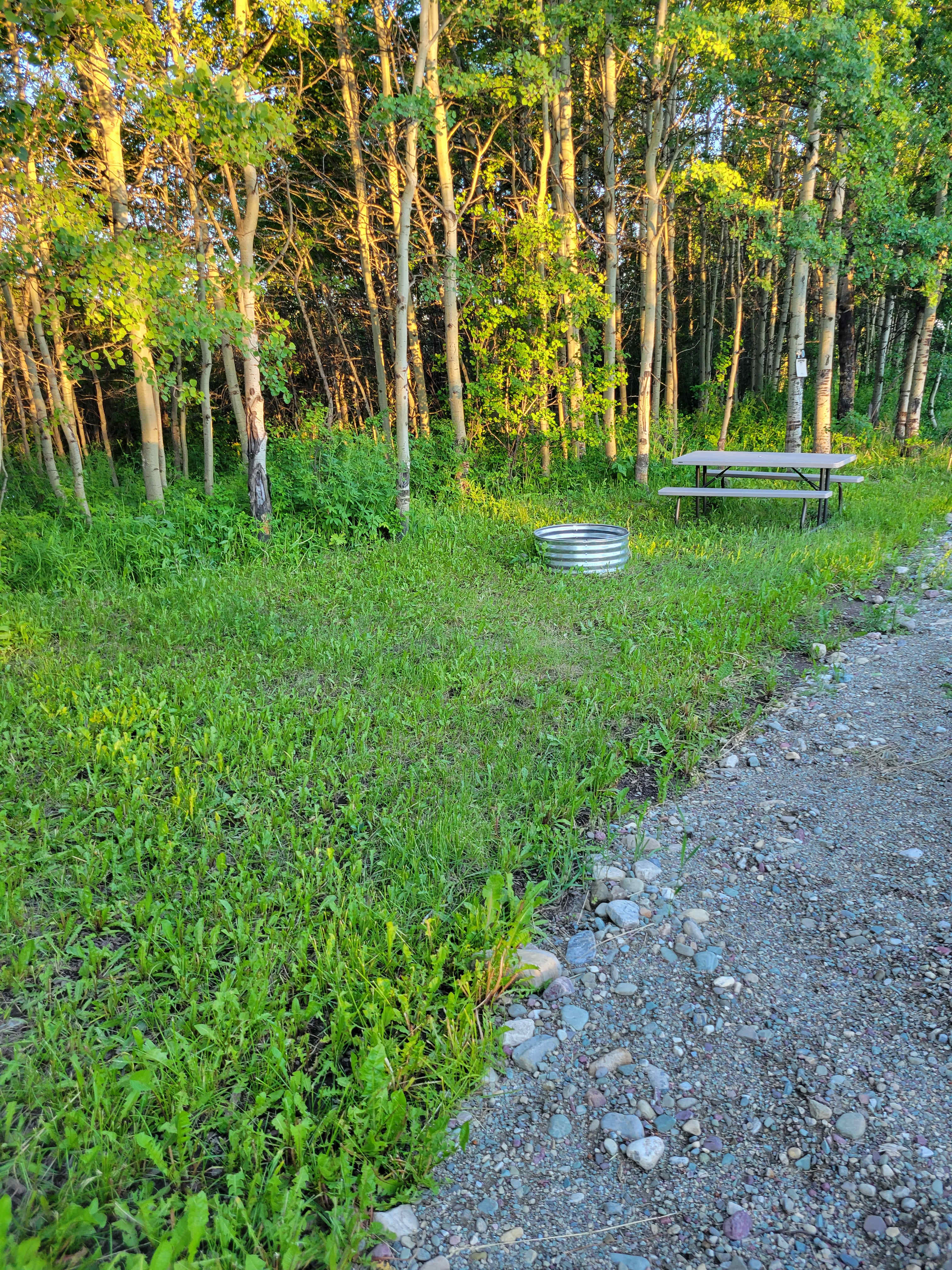 Tent Site 10