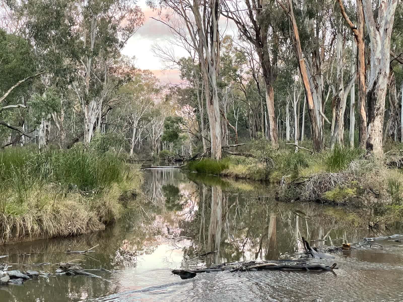 Wes's Camping Ground