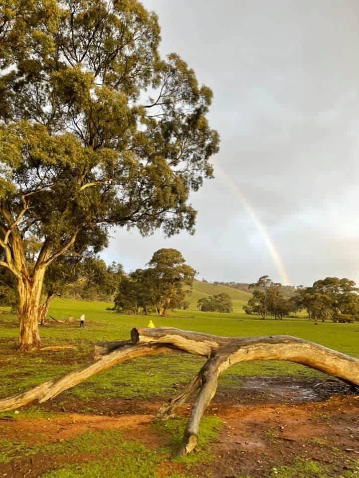 Edgehill Farm Stays Riverton