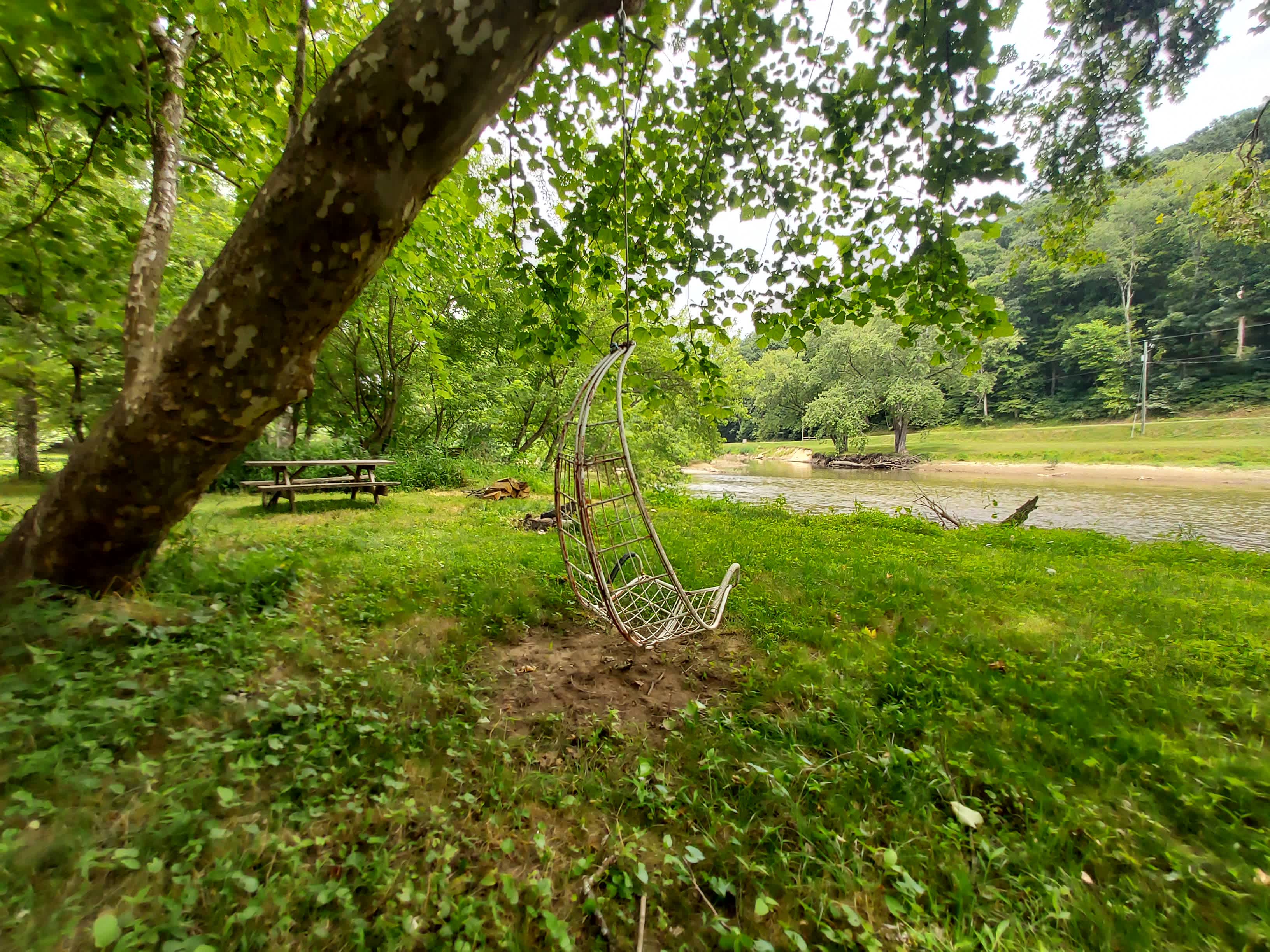 The land.