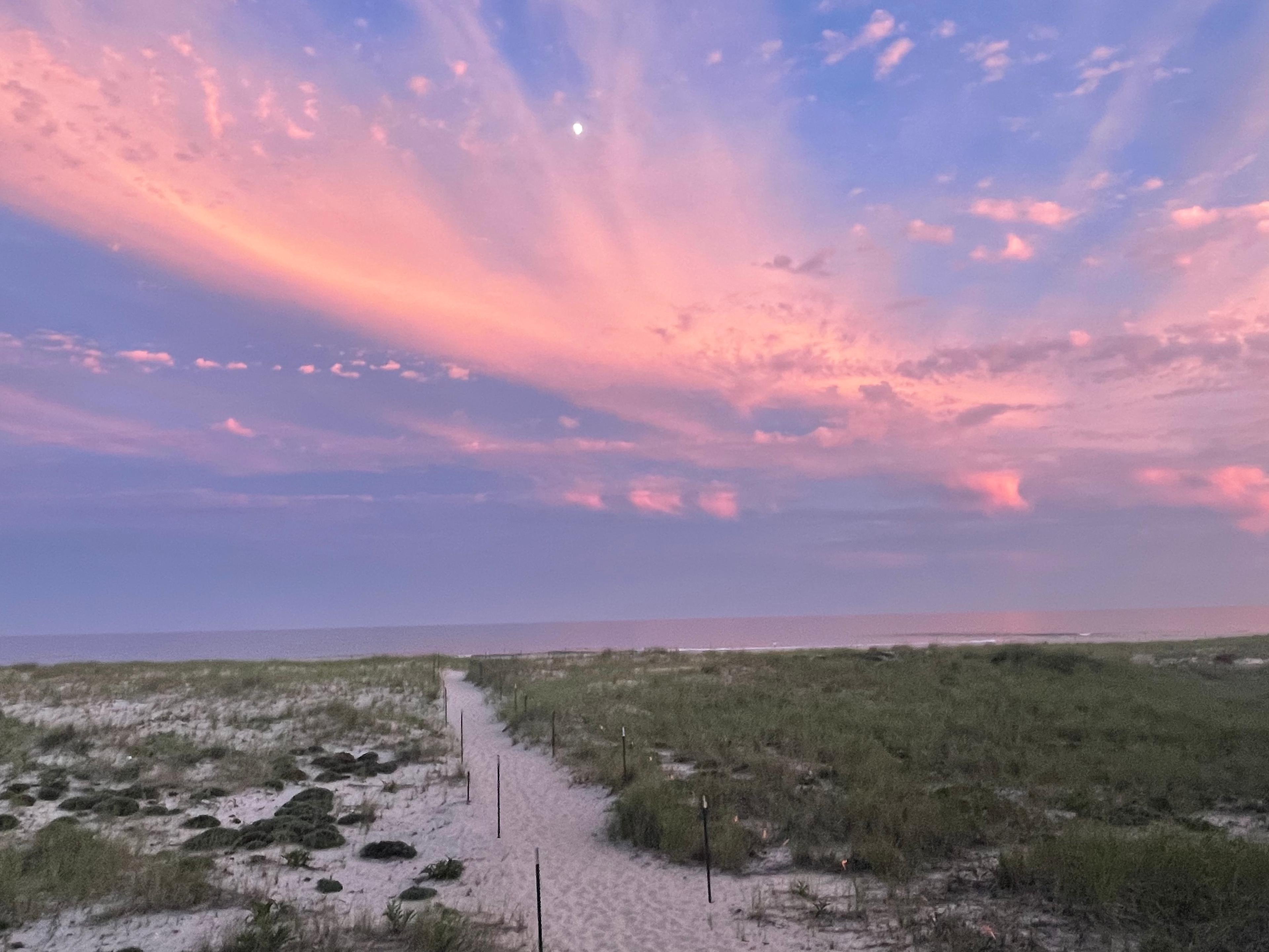 Hampton’s Campsites