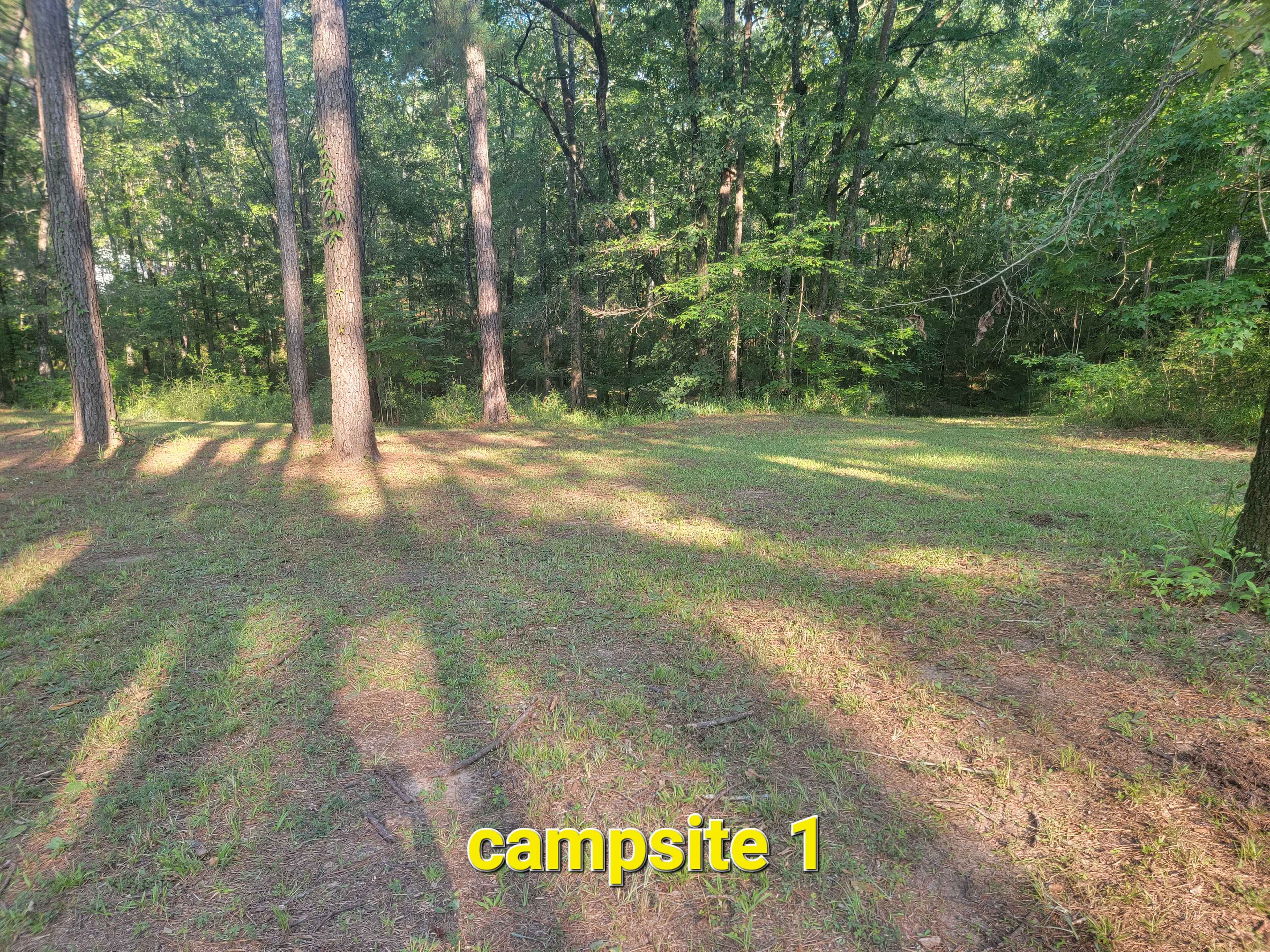 Missihippie Camping and Berries