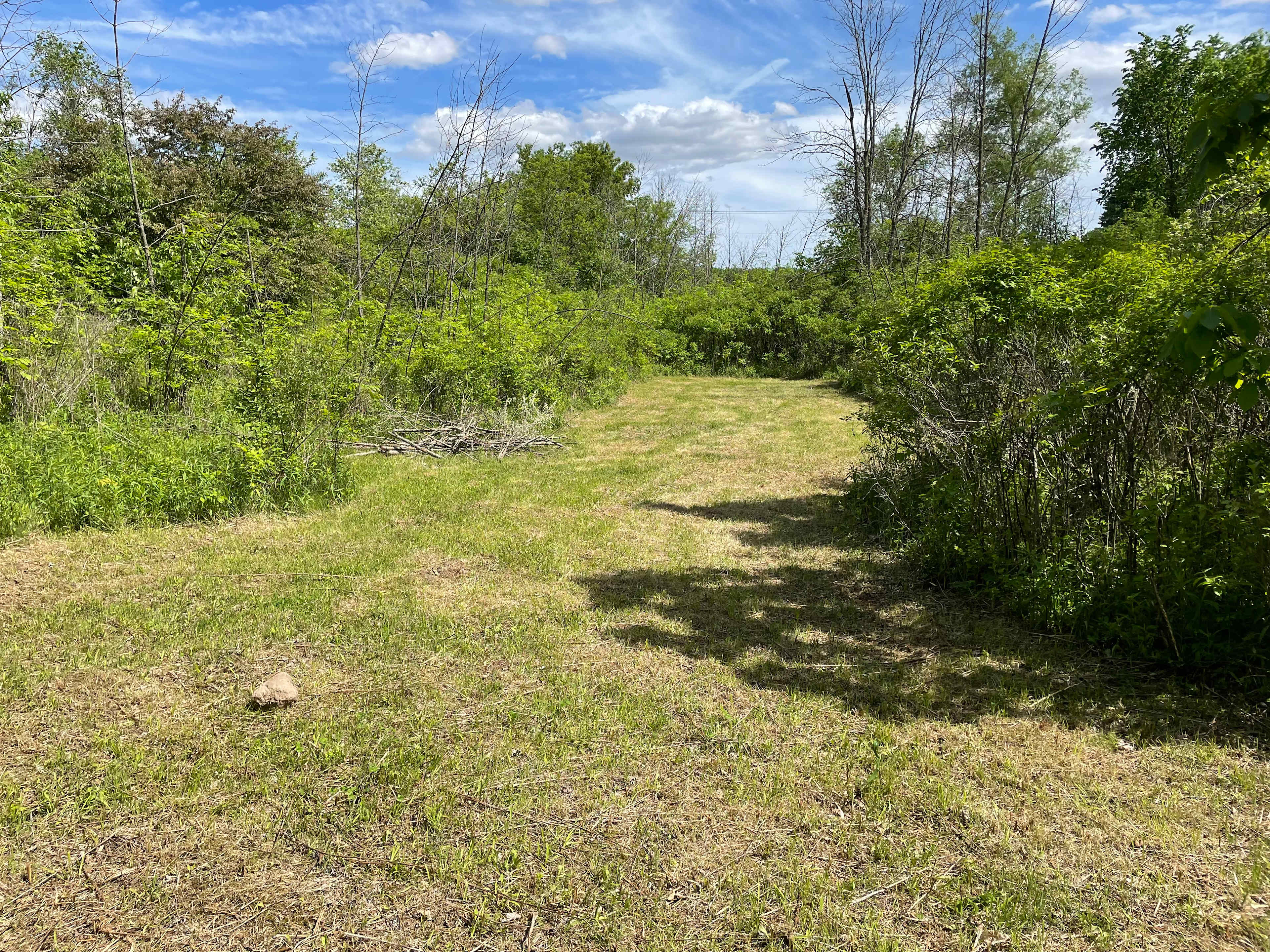 Cricket Ranch