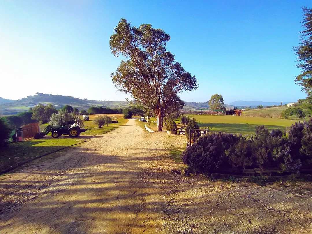 Herdade da Hera