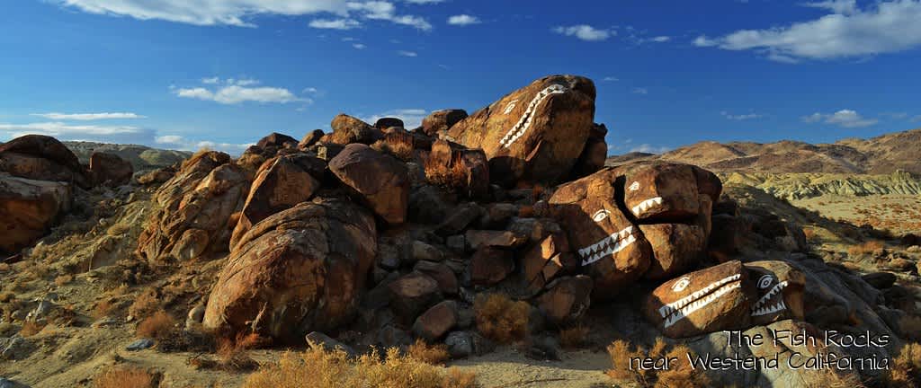 Fish Rocks