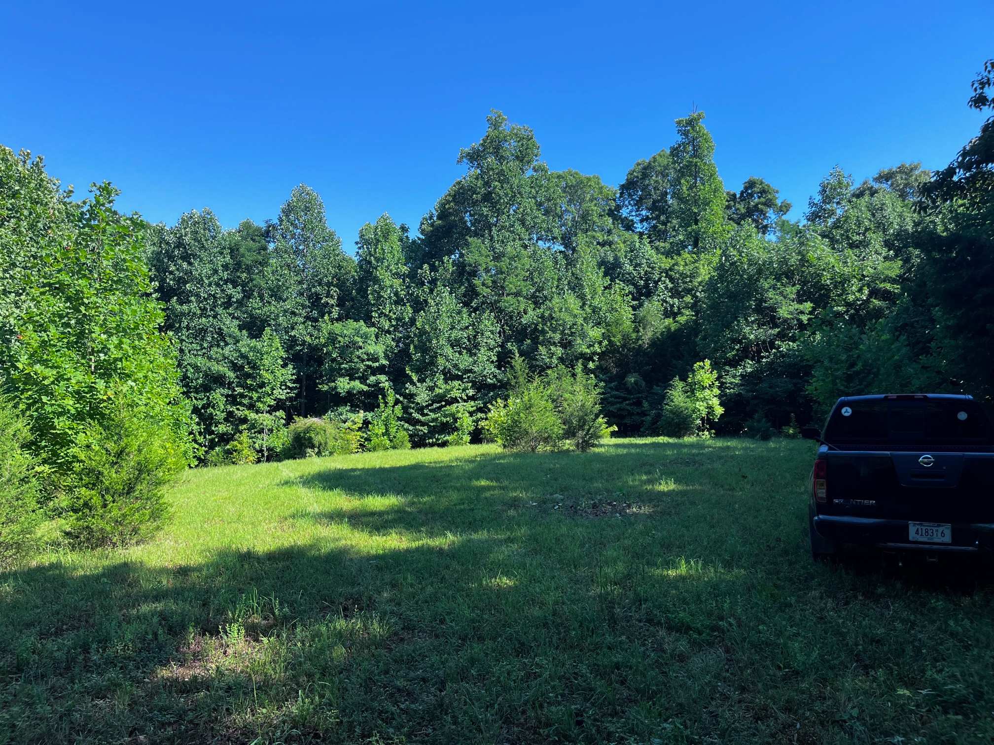 Love Shack Meadow