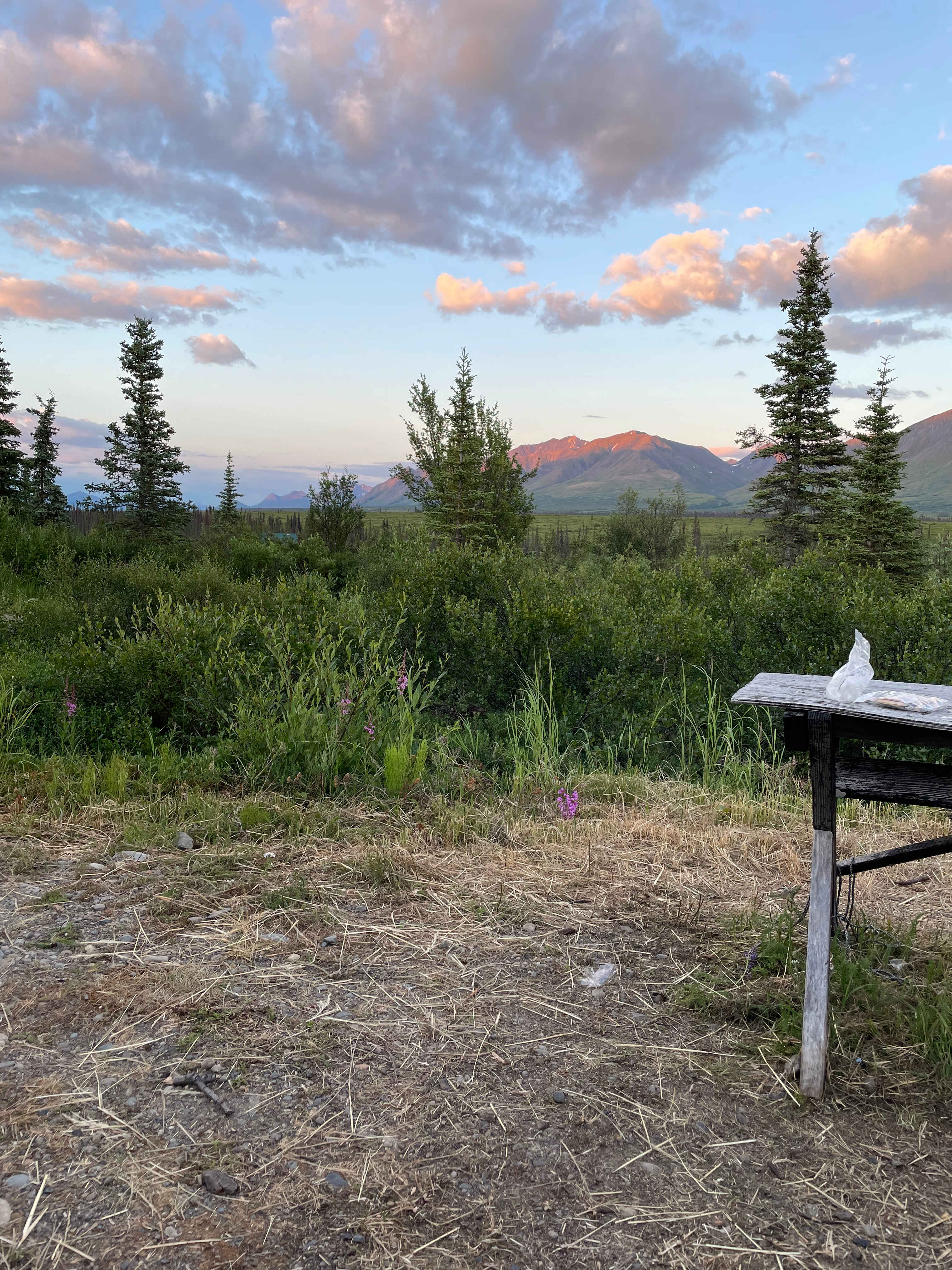 Denali's Doorstep Dry Camping Cabin