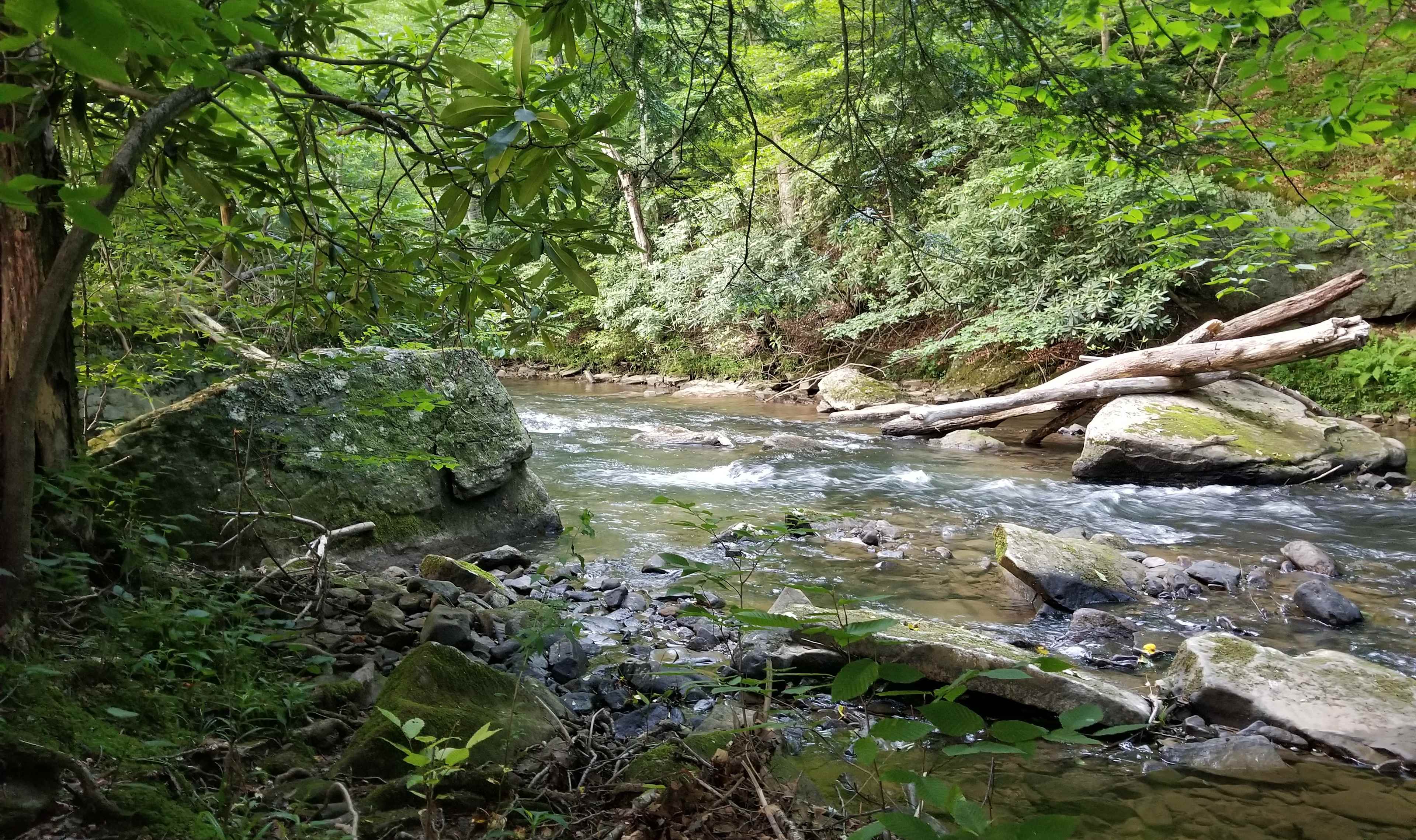 Picture of the site