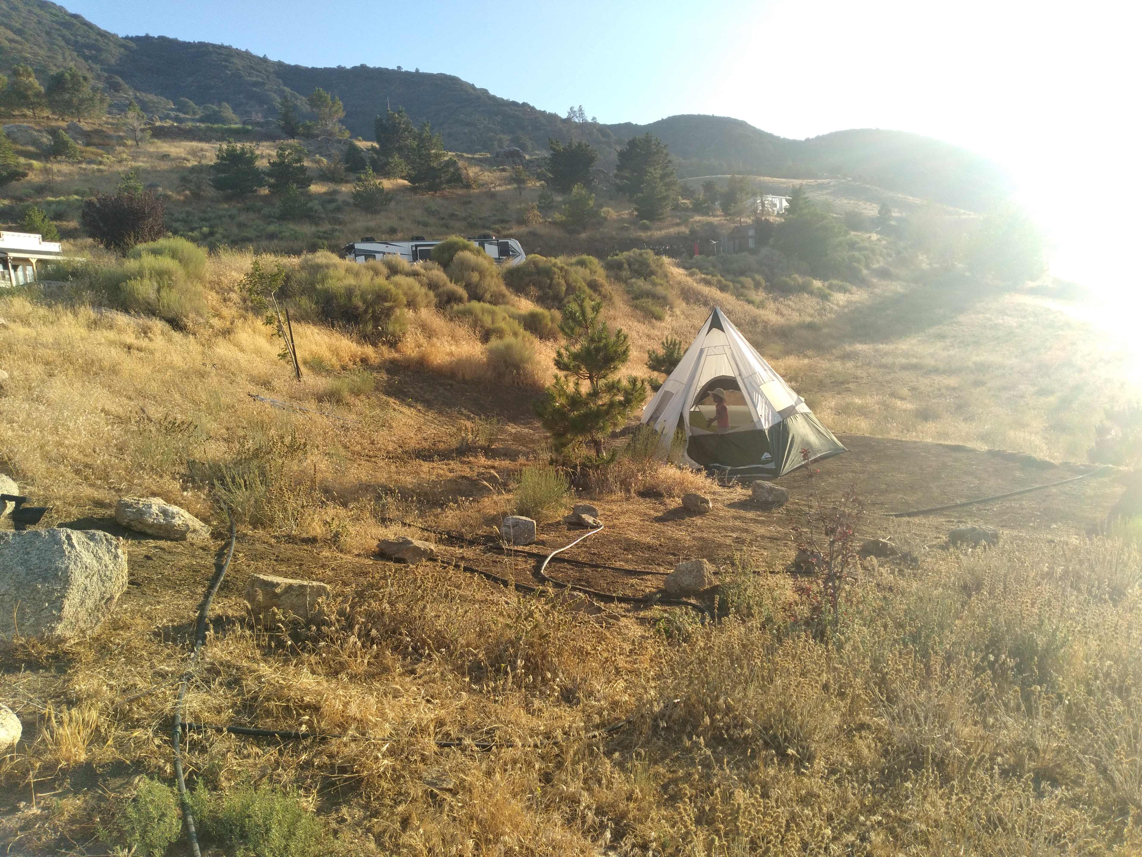 Picture of the site