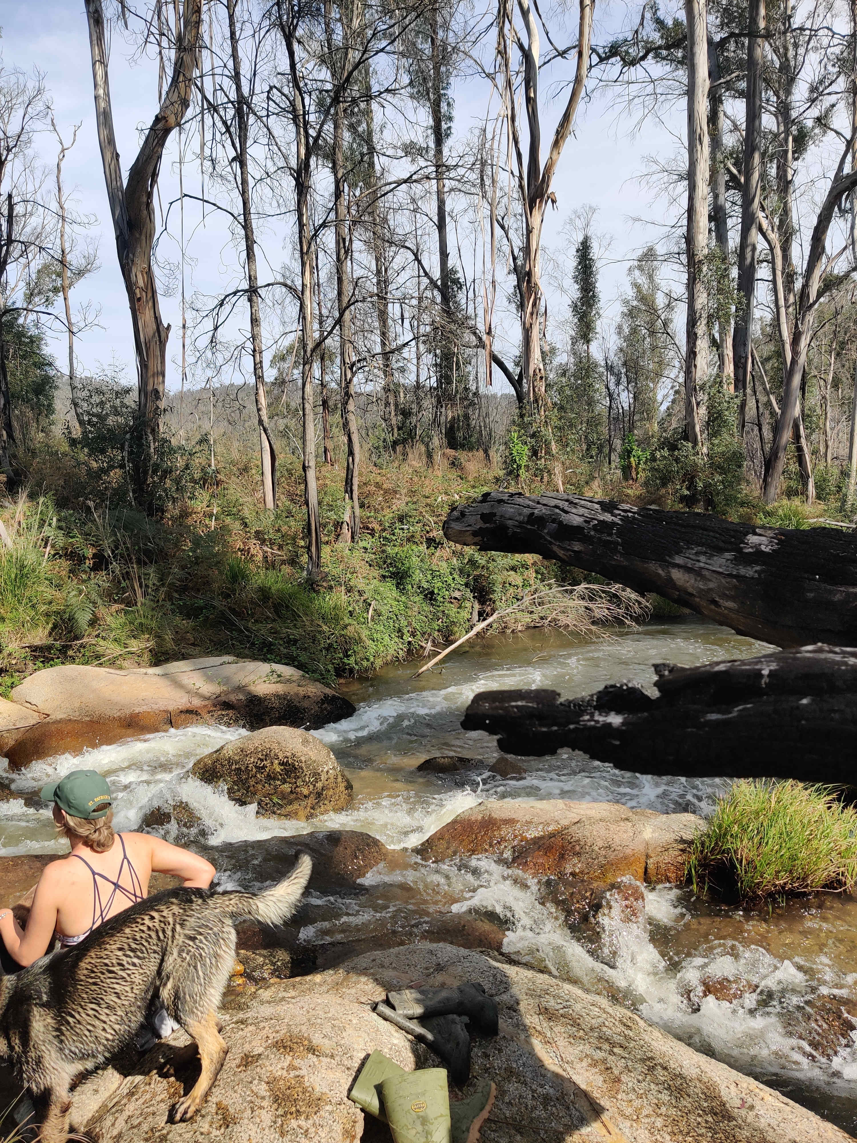 Kanukadale Forest River Retreat