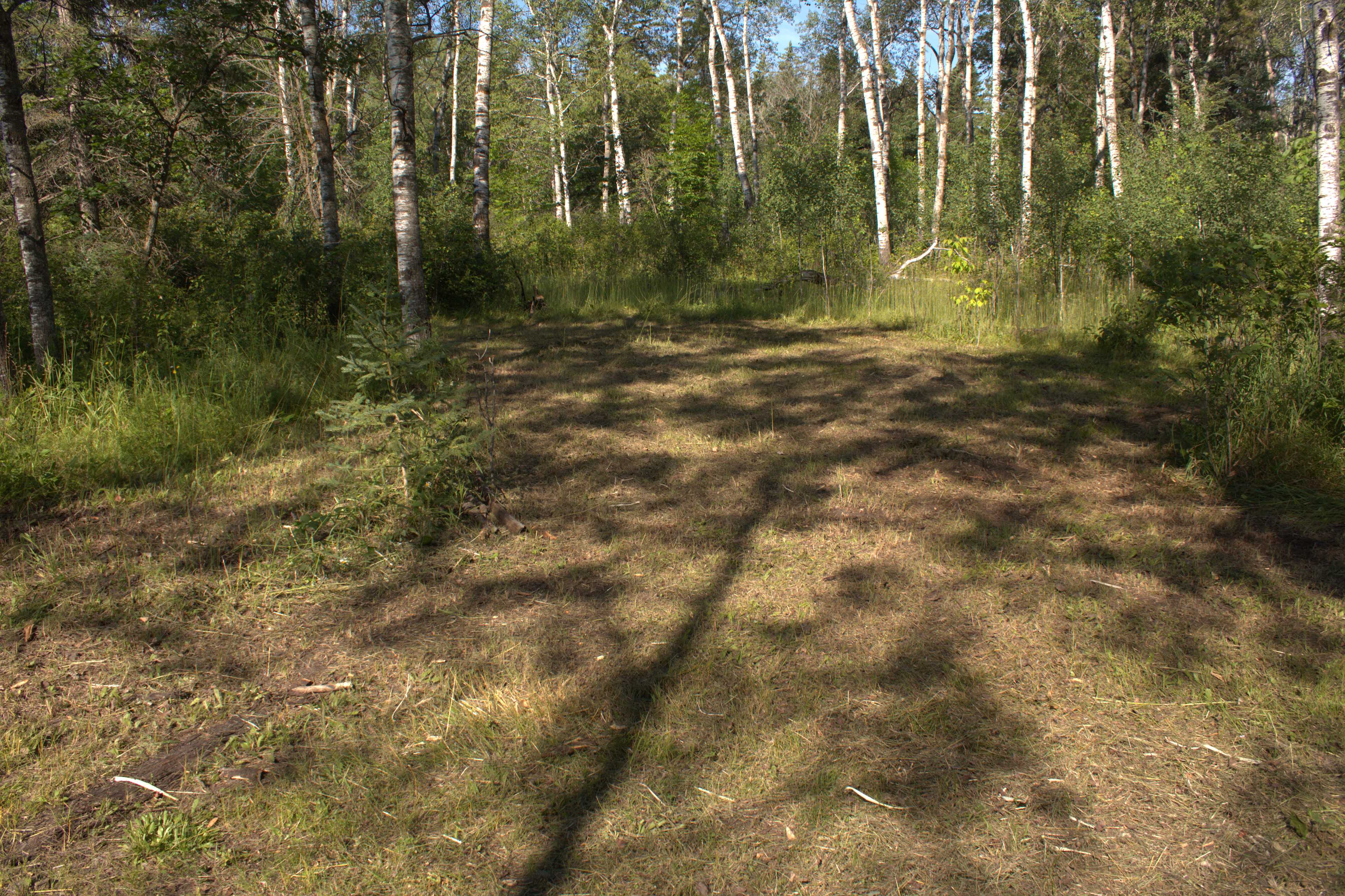 Camp Site #1 - A beautiful, shady spot to park your camper or pitch a tent!