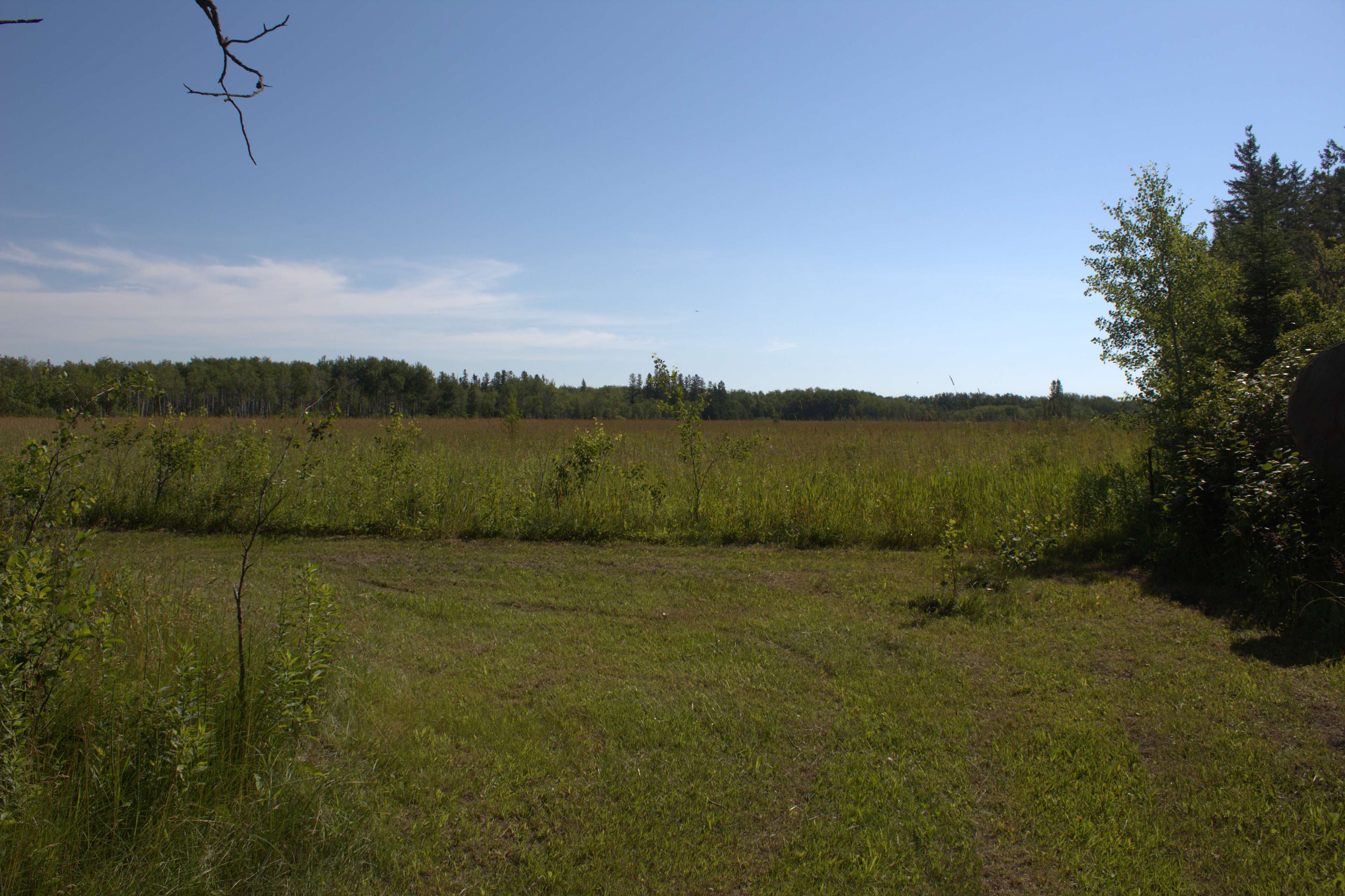 Walking Trails 