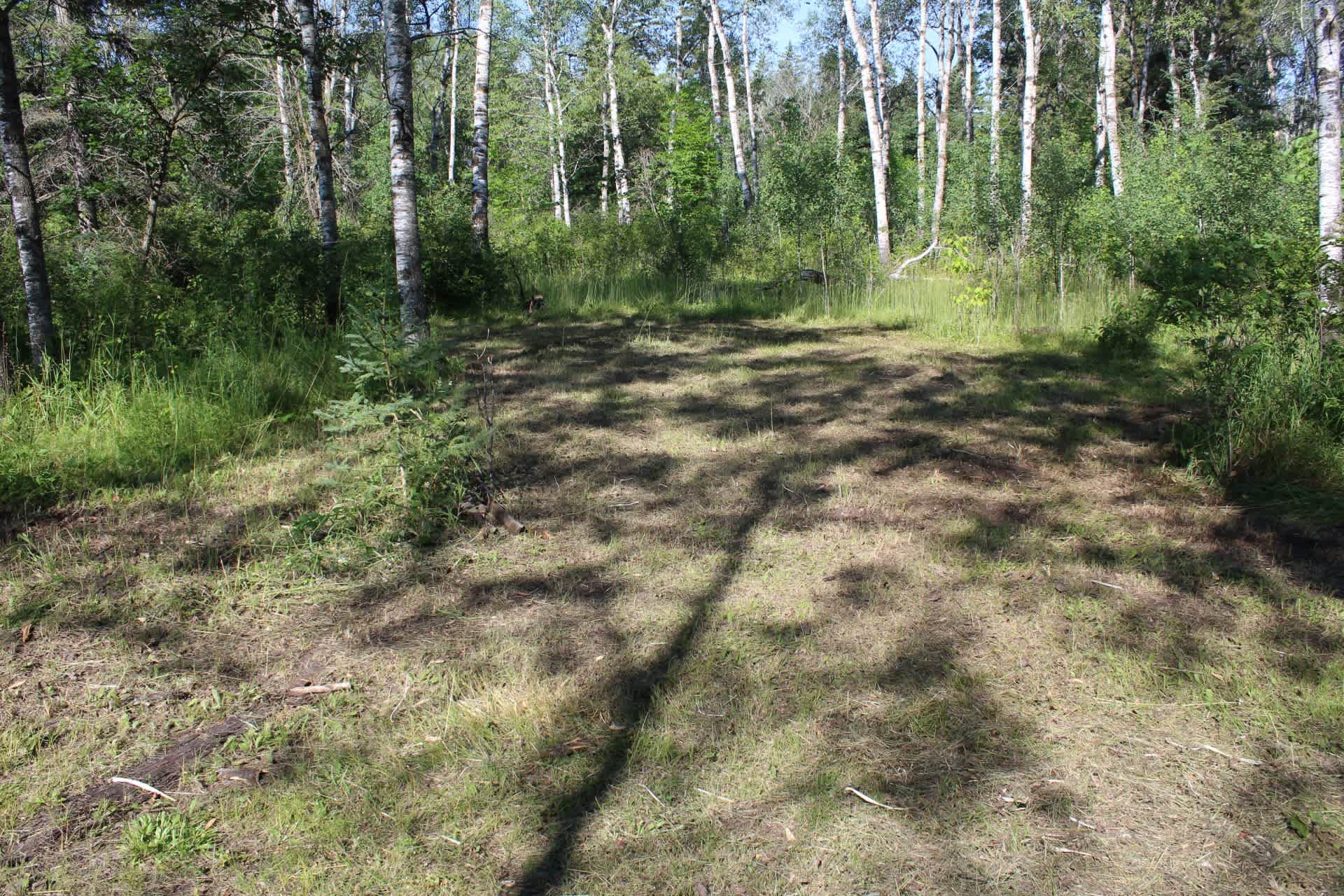 Camp Site #1 - This site is beautifully shaded all-day!