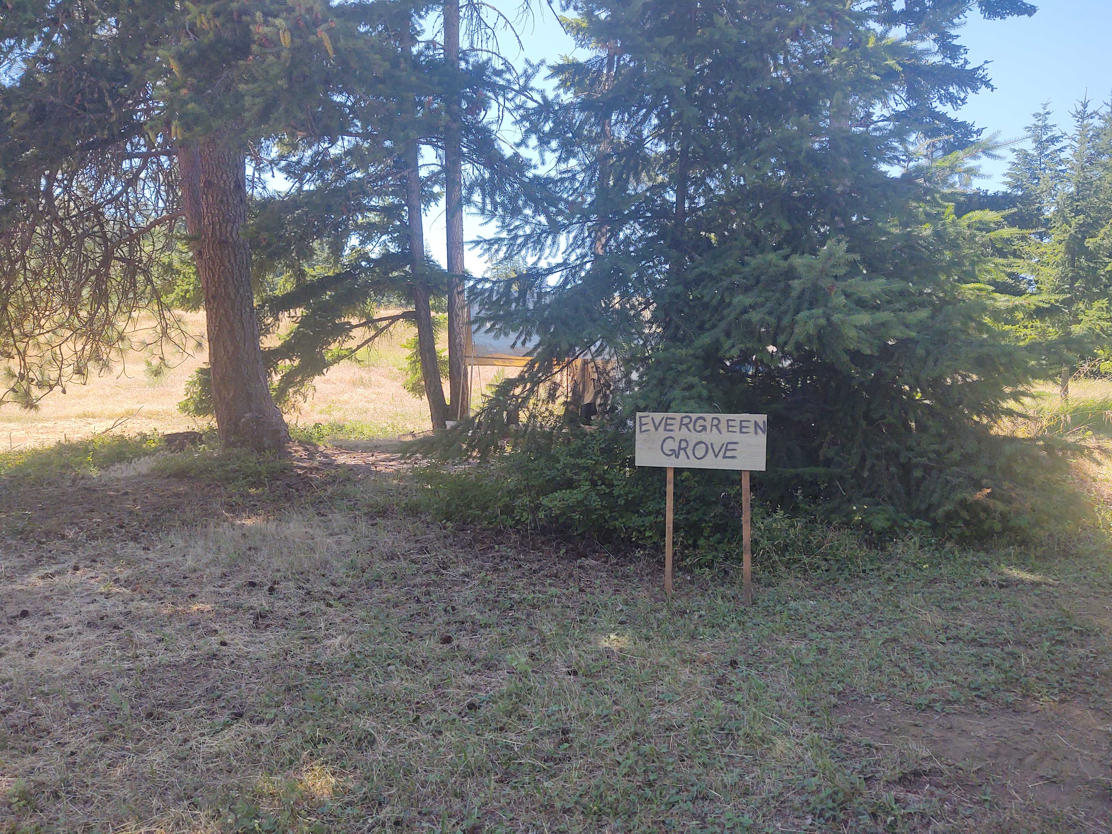 Eight Four Eight Camp