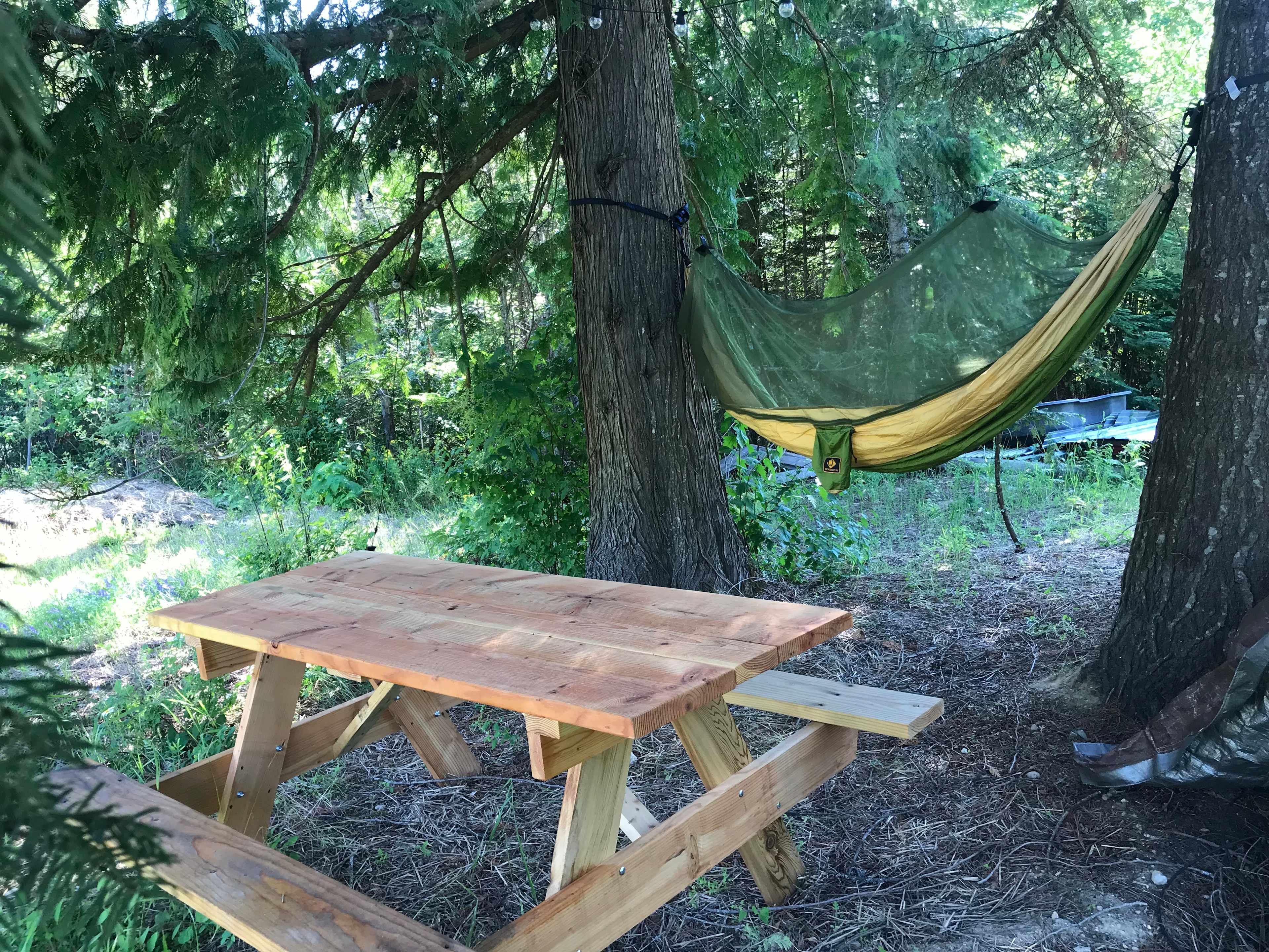 Two tree's camp spot, In the shade of a Cedar tree and a Douglas fir.
