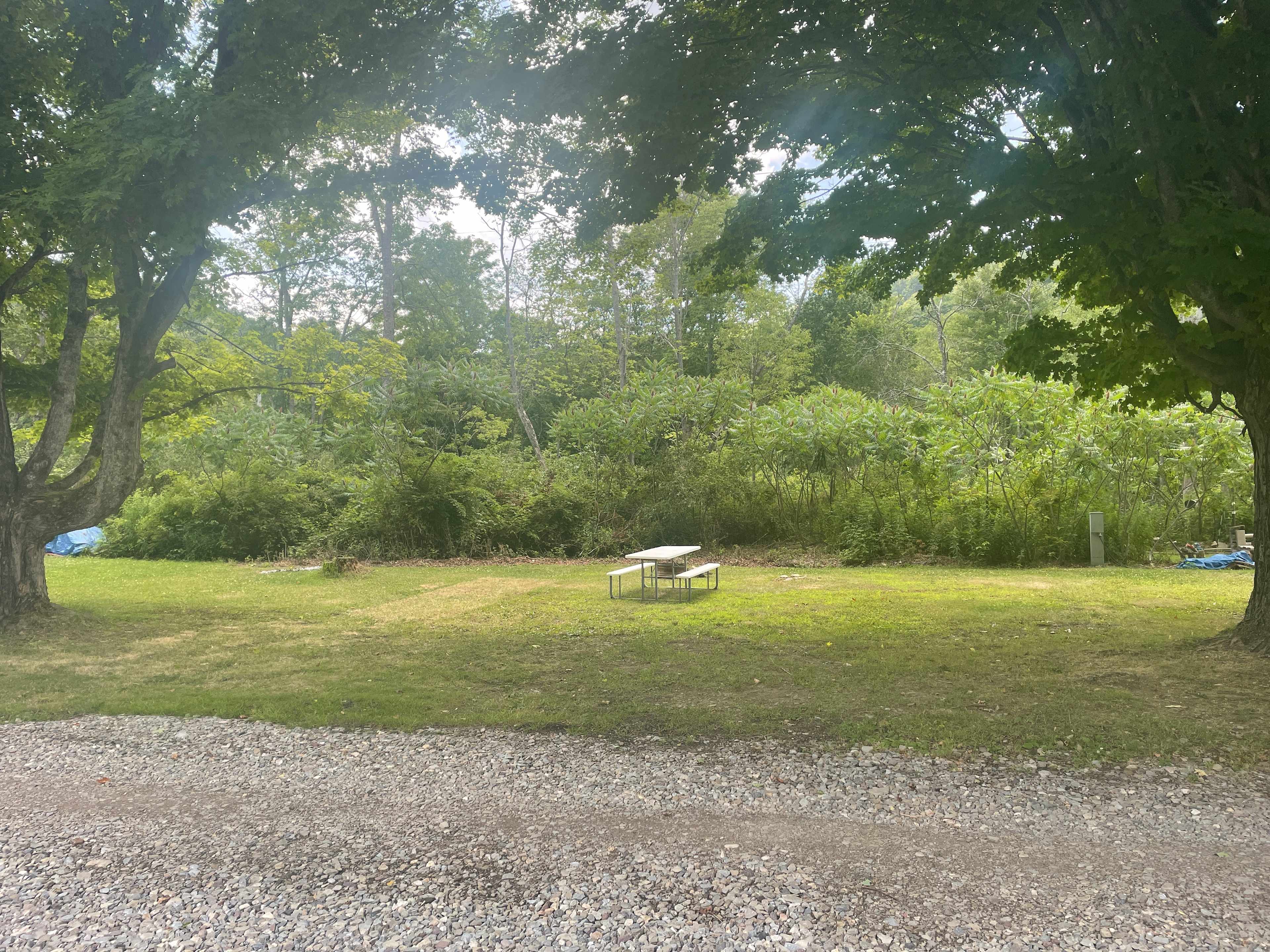 Campground Adventures