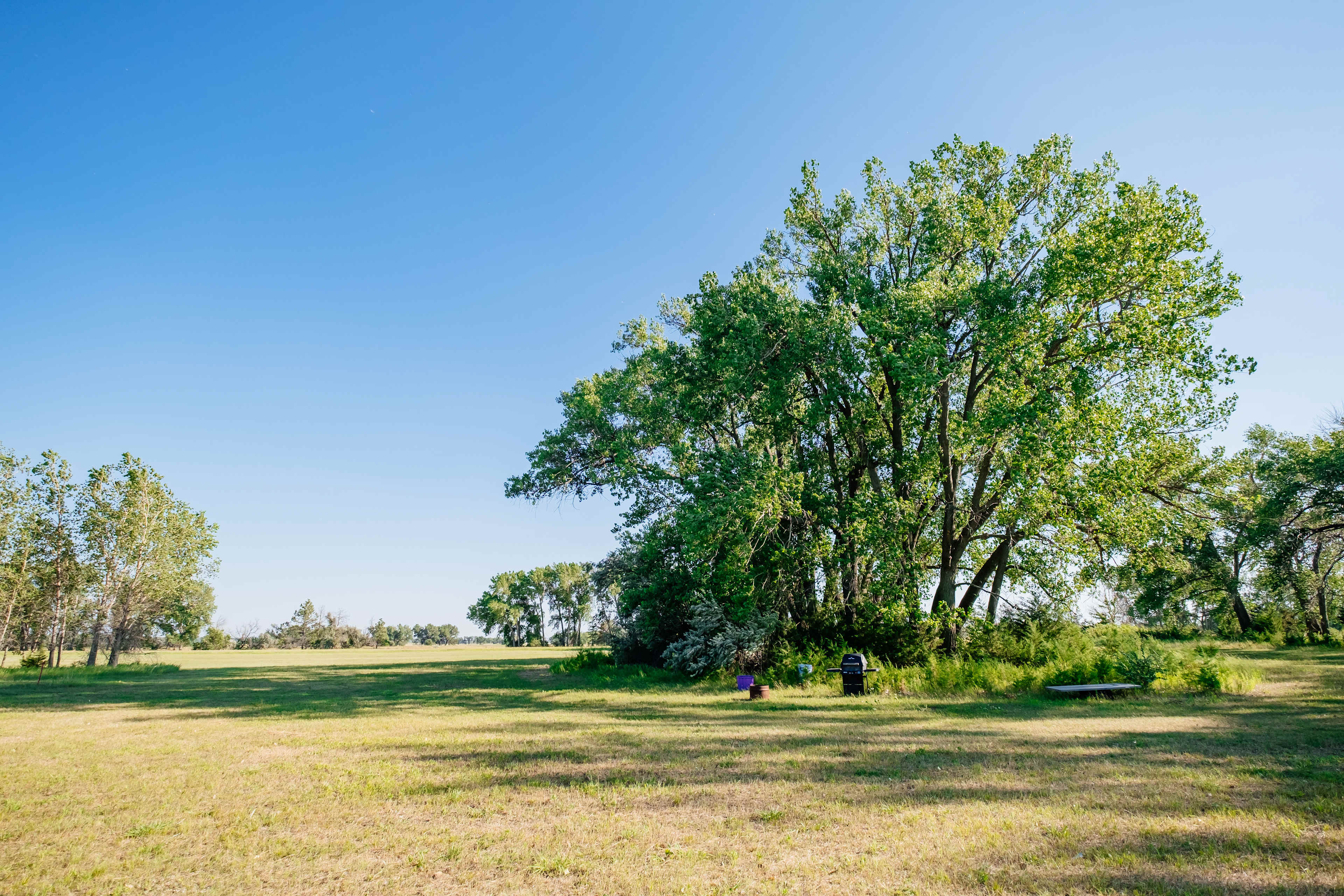 Field site 1