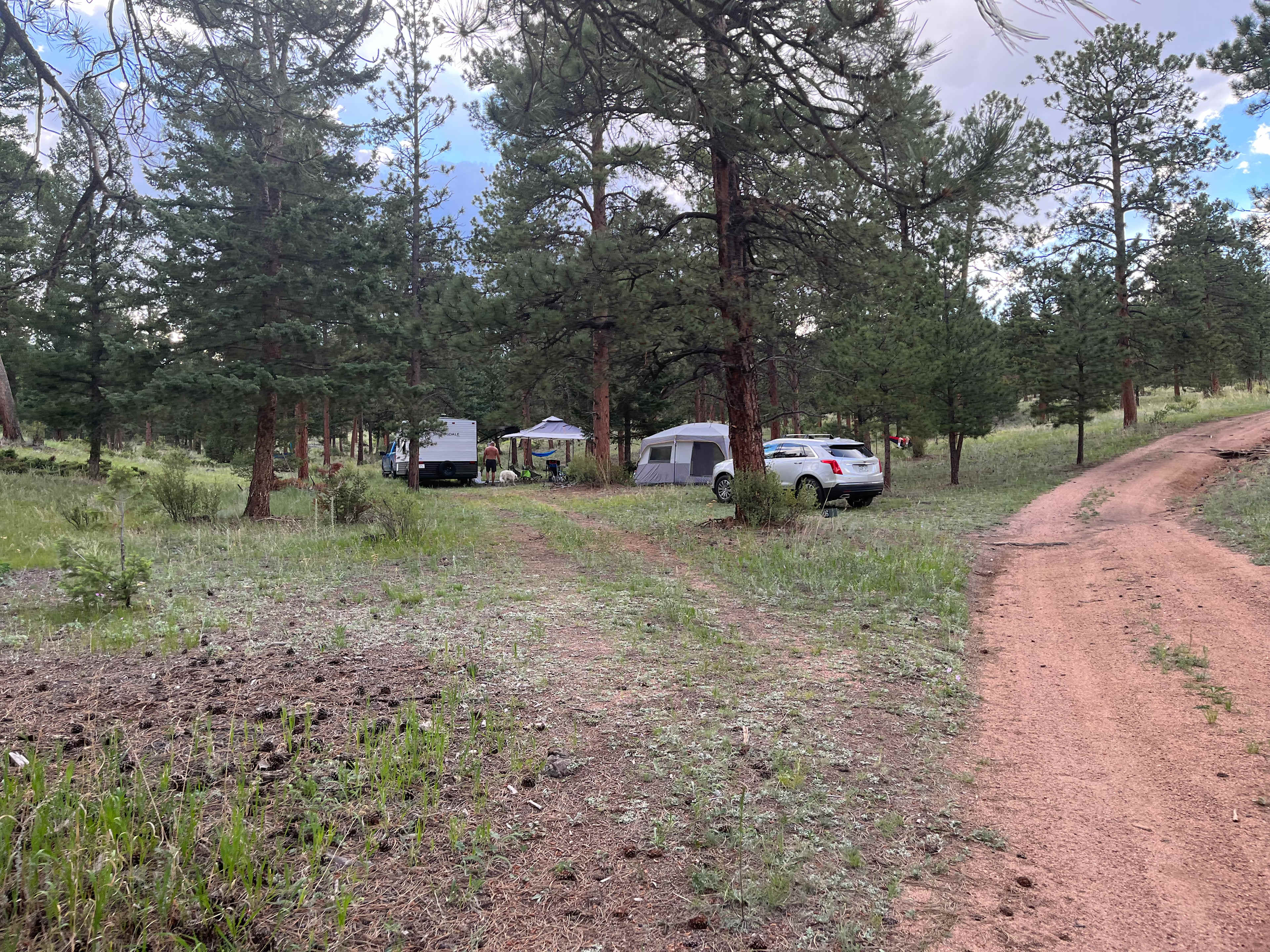 Our site was fairly flat and easy to set up.